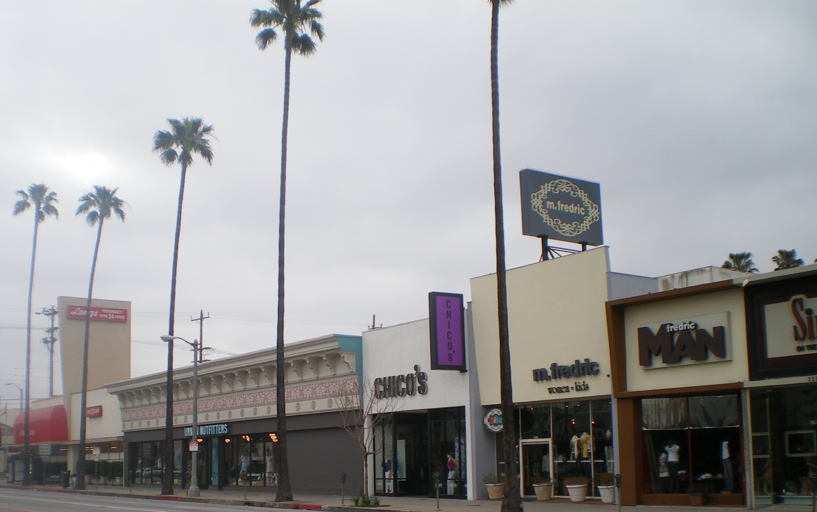 Palm-tree-lined retail storefronts along Ventura Boulevard in Studio City.