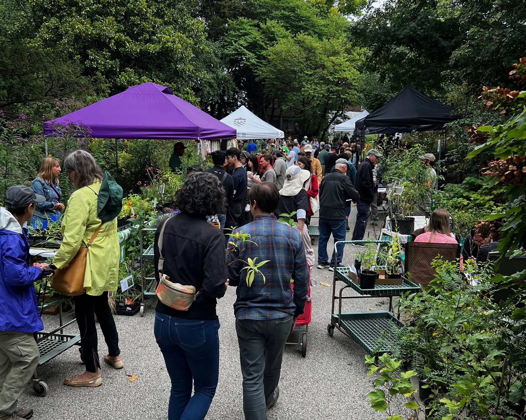 Crowds browse potted plants at an outdoor festival with vendor tents along a garden path.