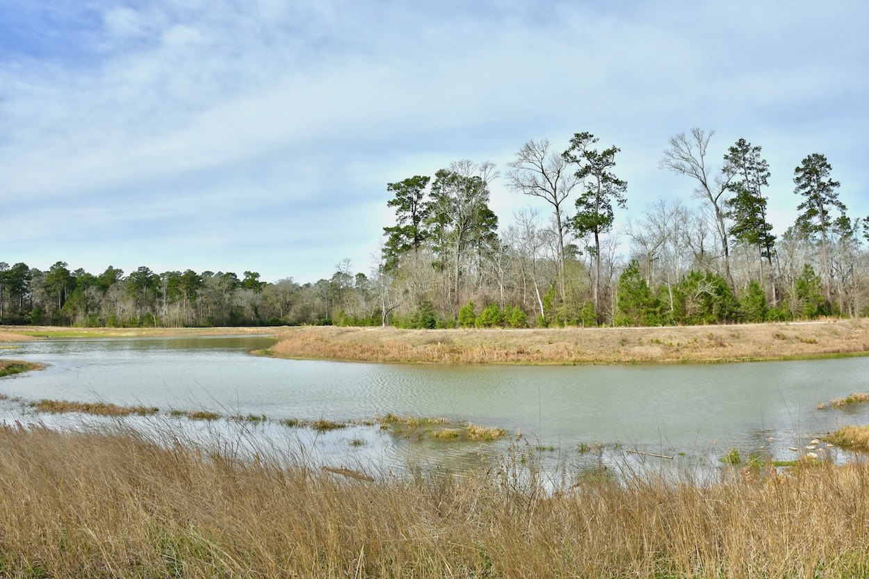 Calm pond surrounded by golden grasses and bare trees under a partly cloudy sky.