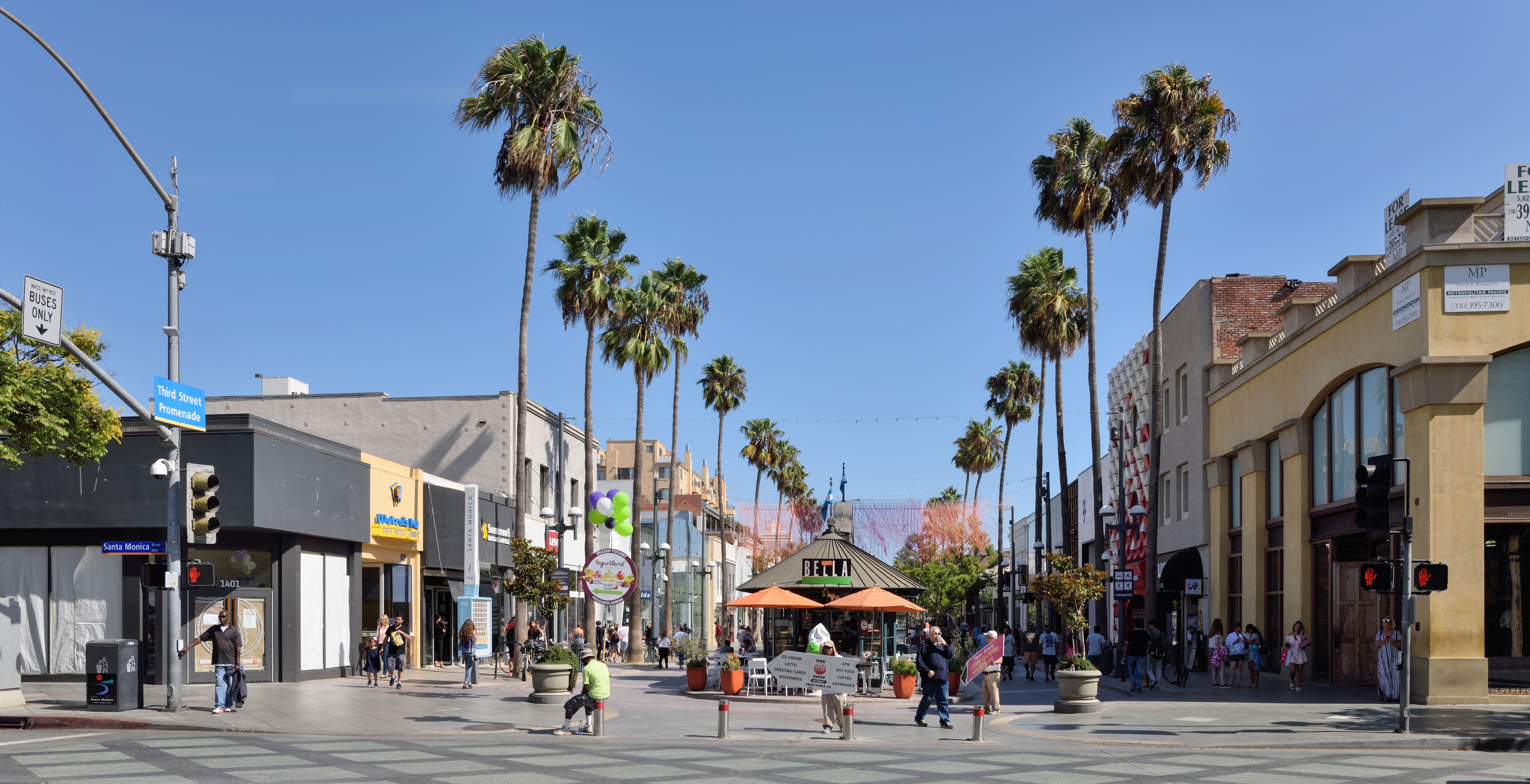 Wide view of a pedestrian promenade lined with palm trees and storefronts.