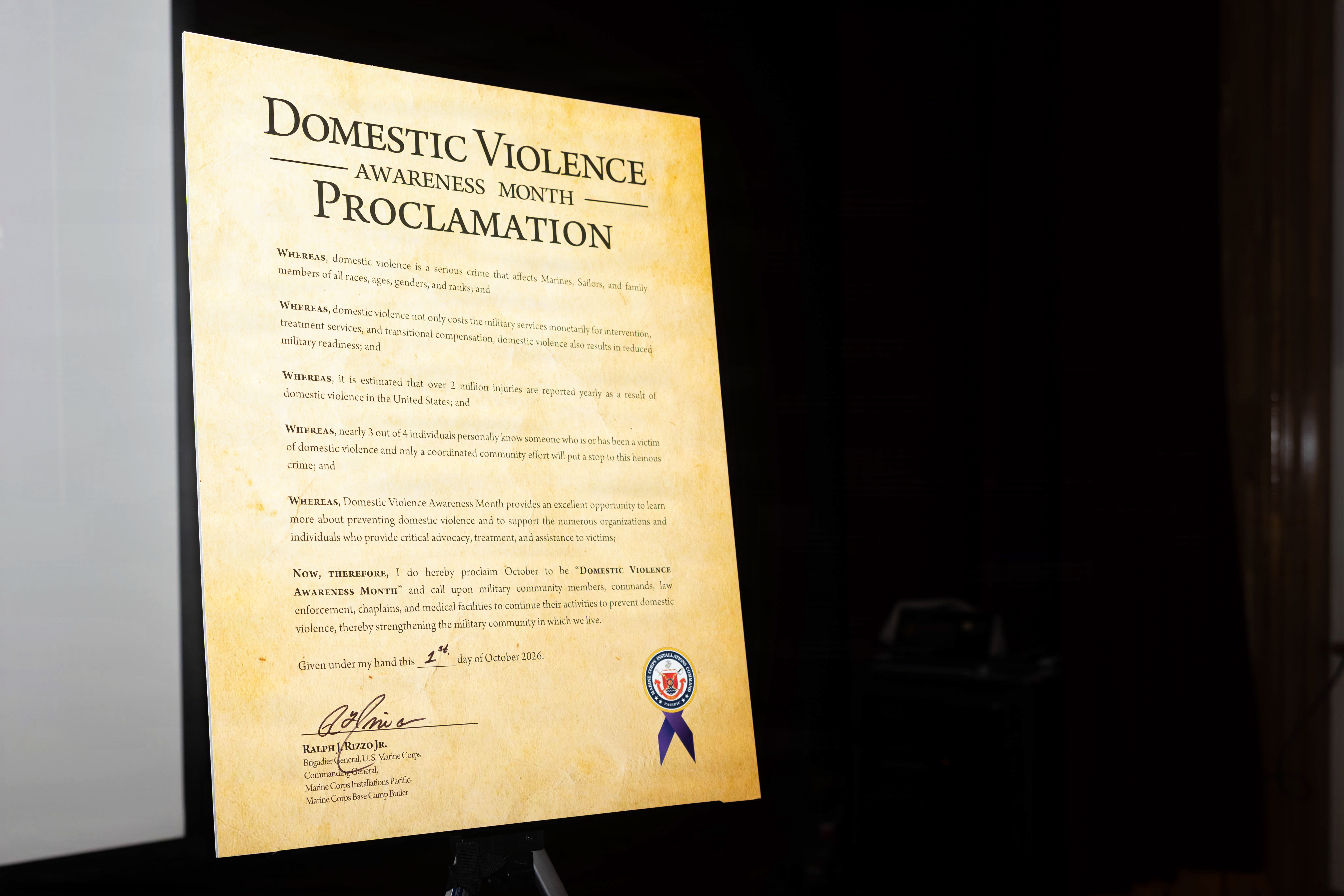 Framed Domestic Violence Awareness Month proclamation displayed on a stand.