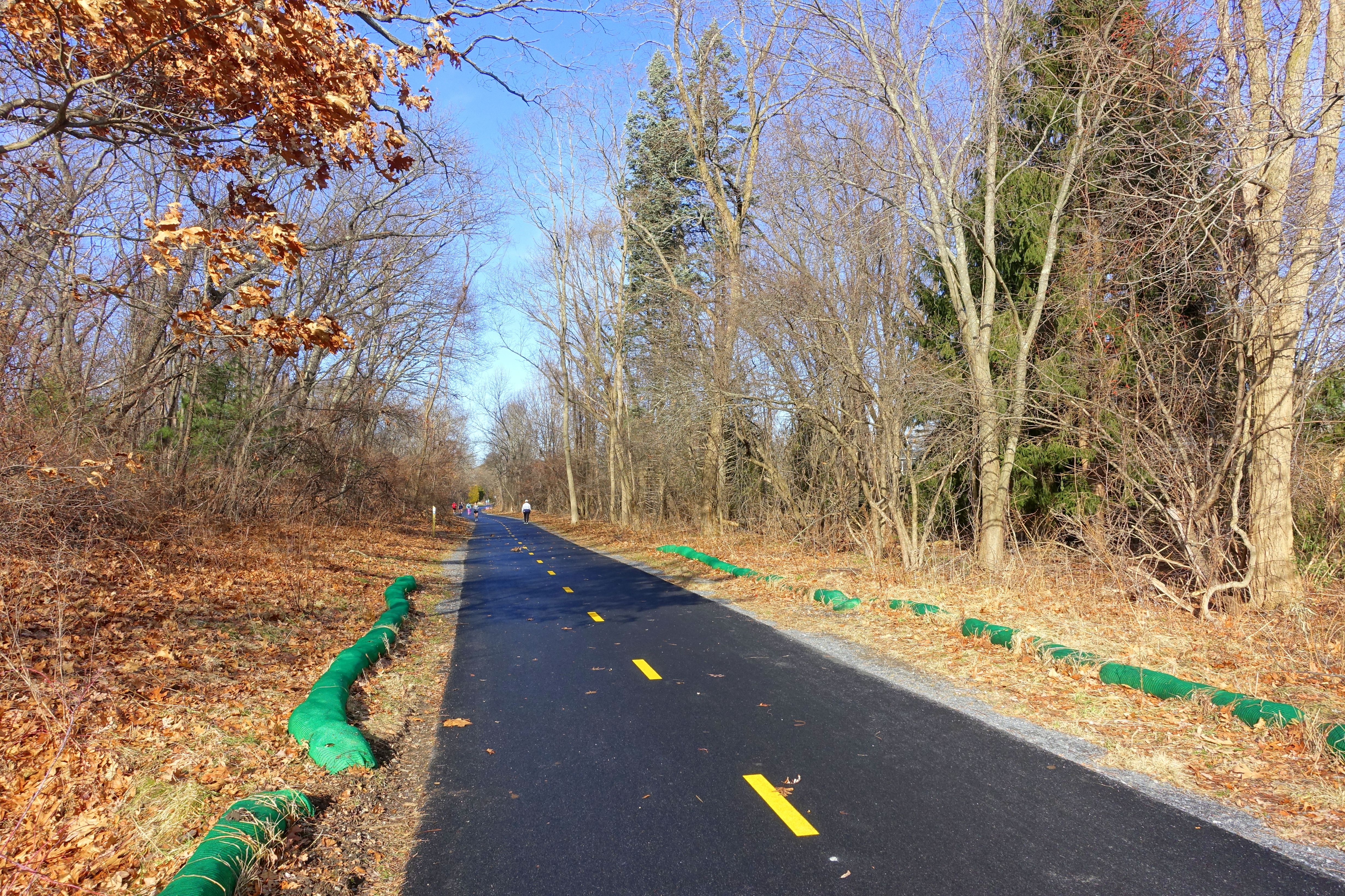 Paved multi-use trail with yellow center line and green barriers flanked by bare trees.