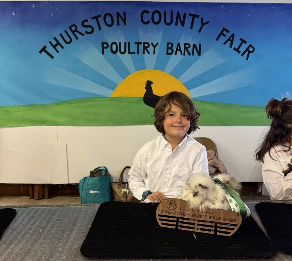 A boy in a white shirt holding a fluffy white silkie chicken and a wooden plaque in front of a poultry barn mural.