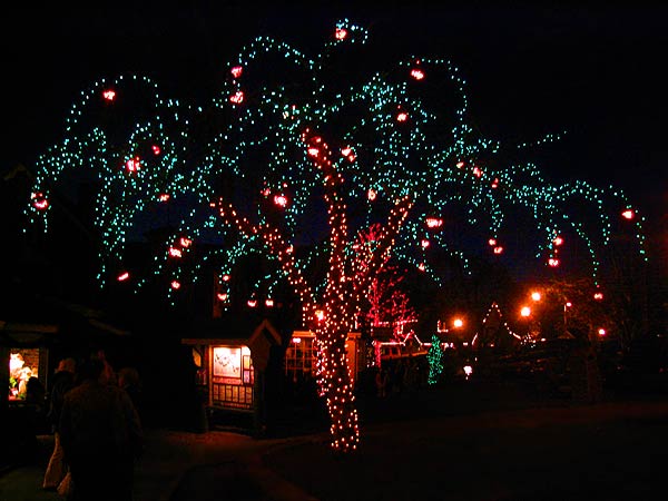 A large tree strung with red and green lights glows at night outside small illuminated shops.