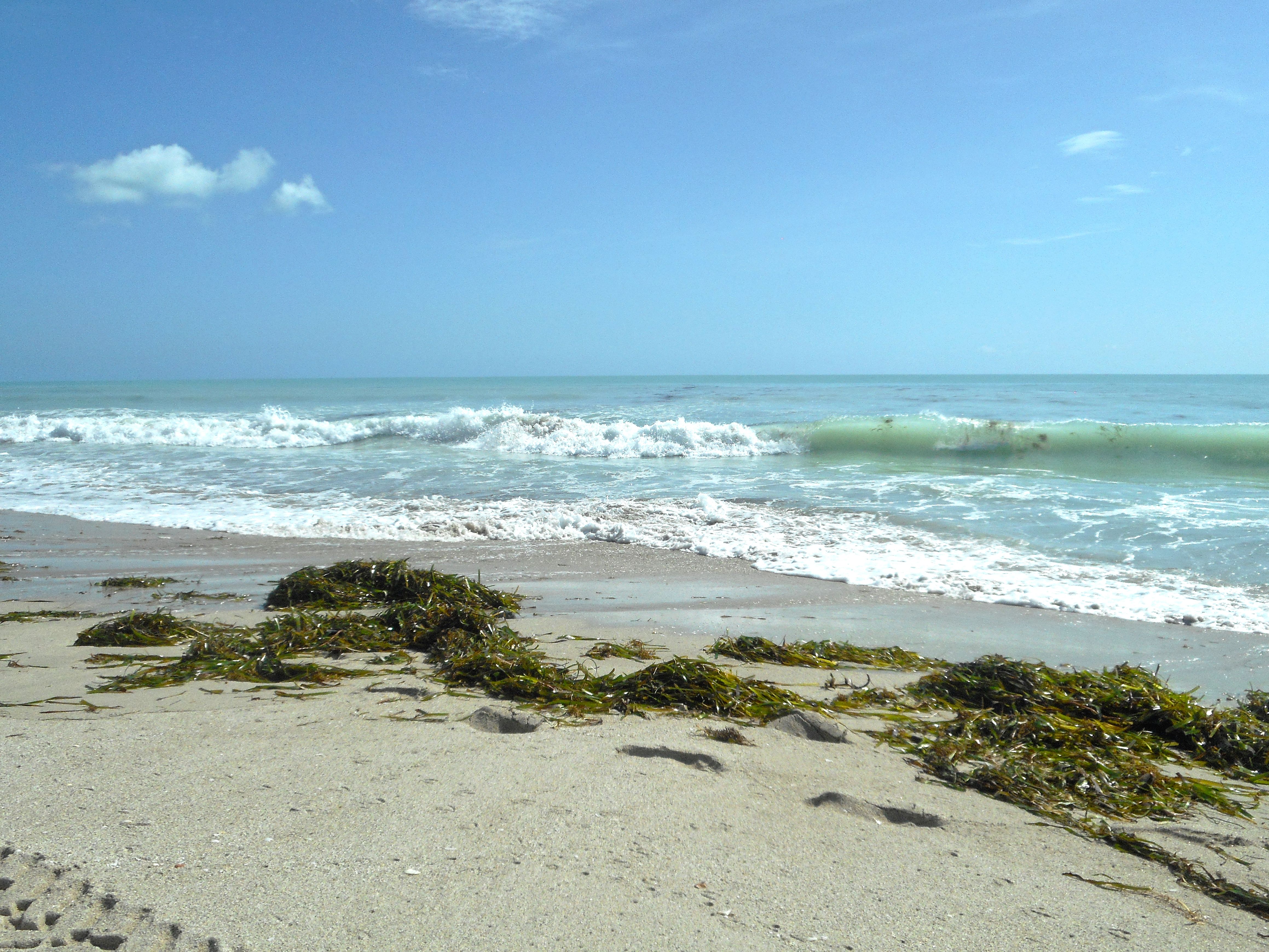 Sandy beach with ocean waves breaking along the shoreline under a blue sky.