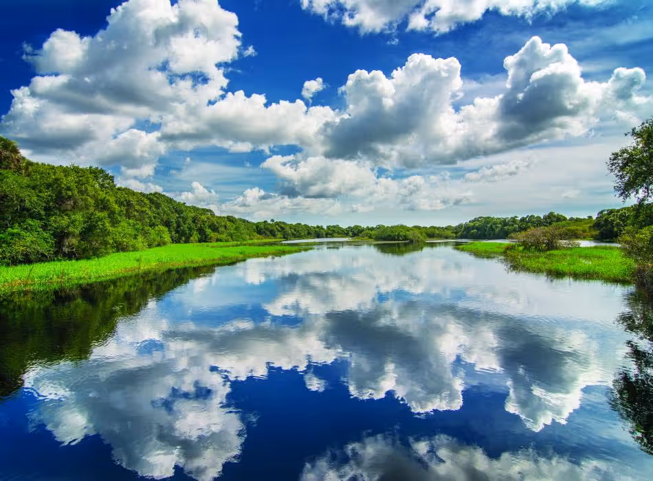 The Myakka River at Myakka River State Park.