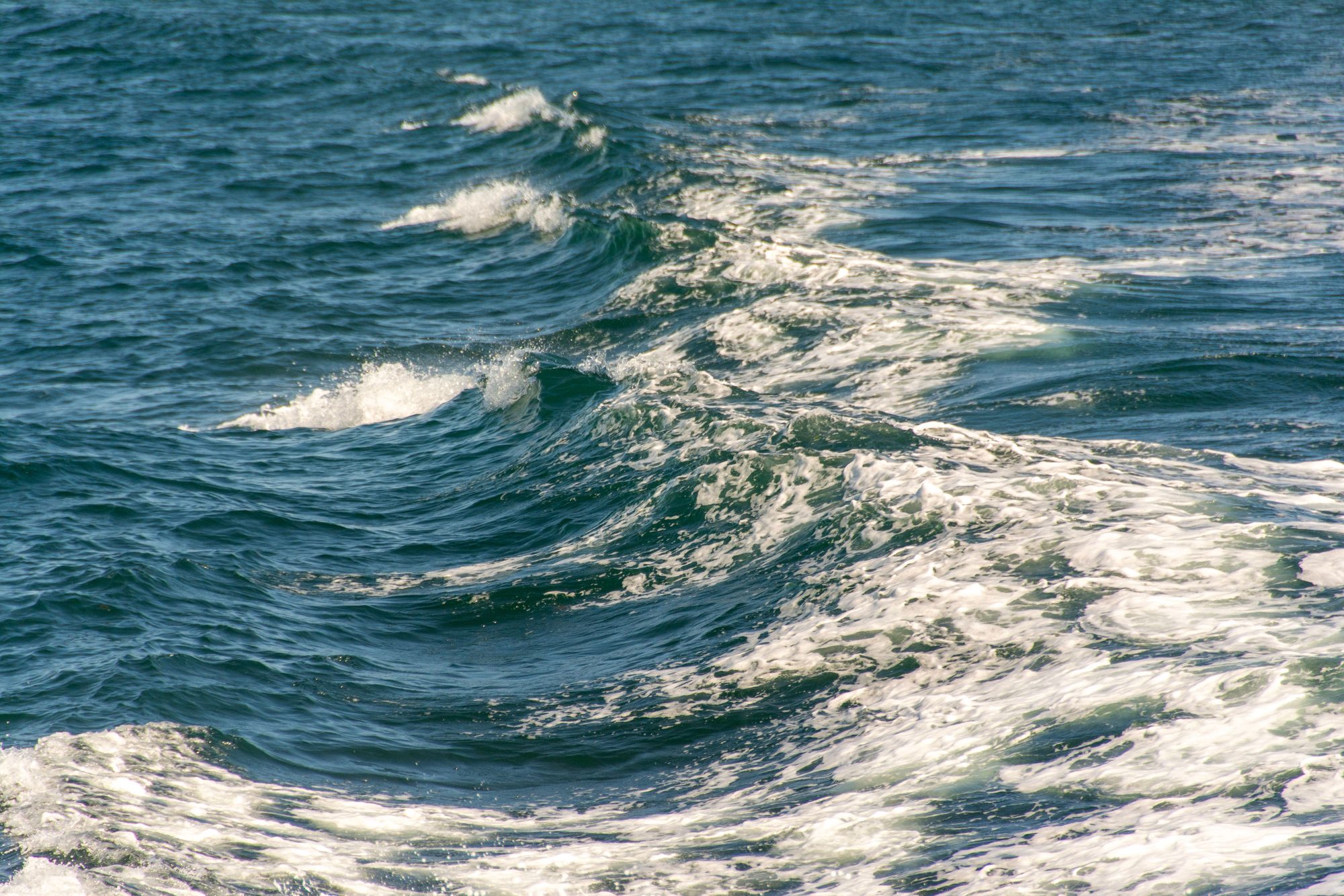 Choppy blue ocean water with rolling whitecaps stretching to the horizon.