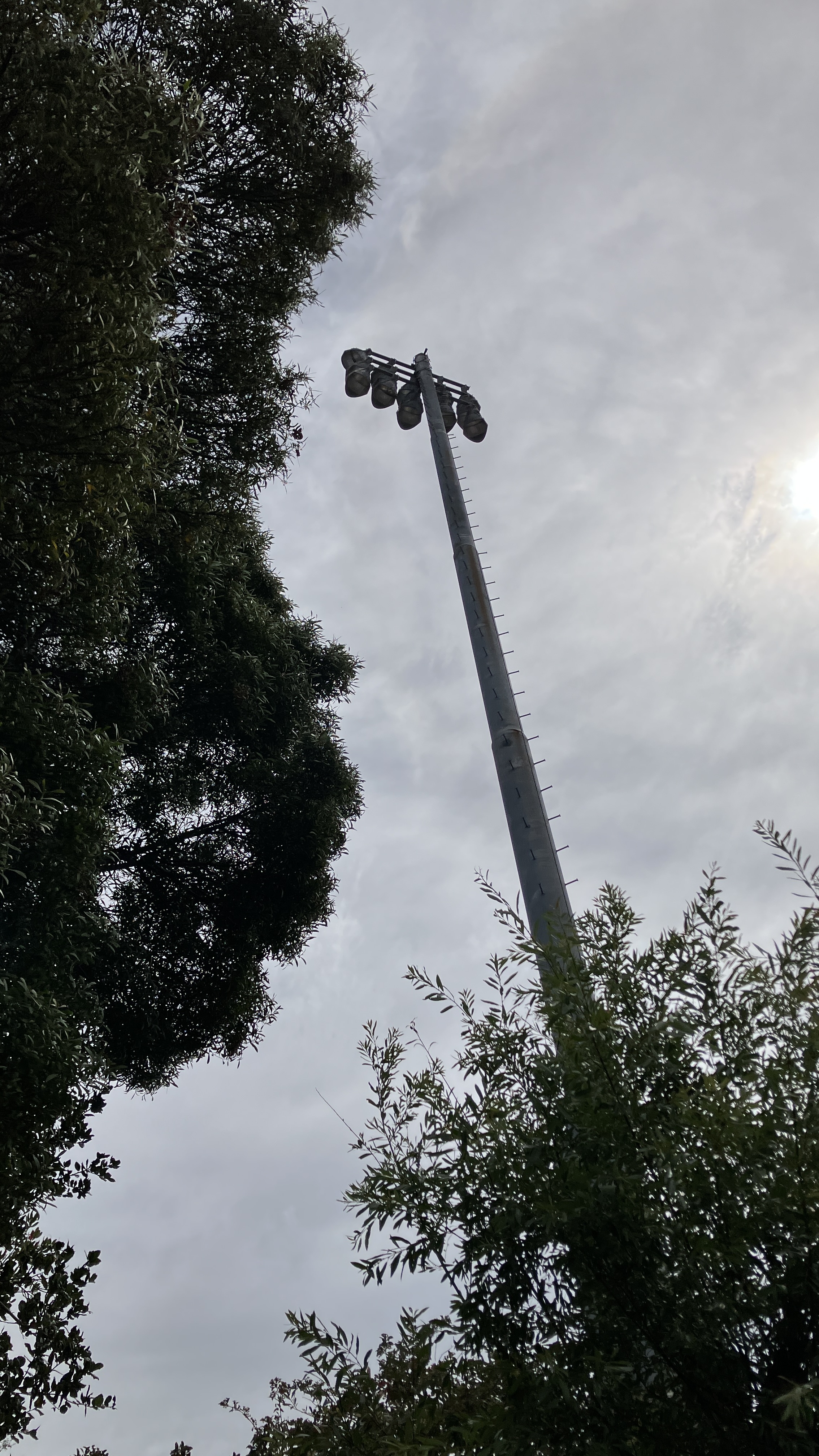 Tall stadium floodlight pole rising above trees at a college football field.