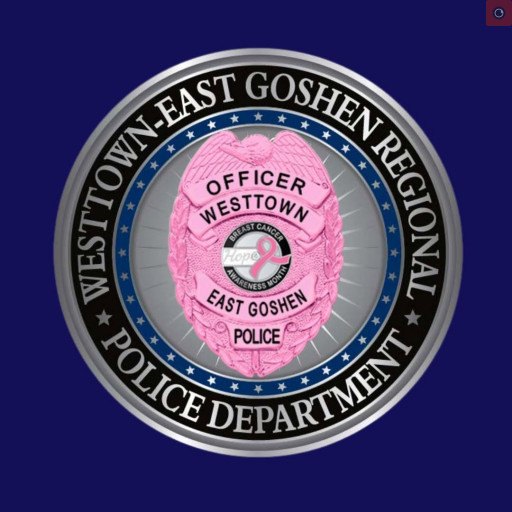 Circular police department seal with a pink badge and pink ribbon at center.