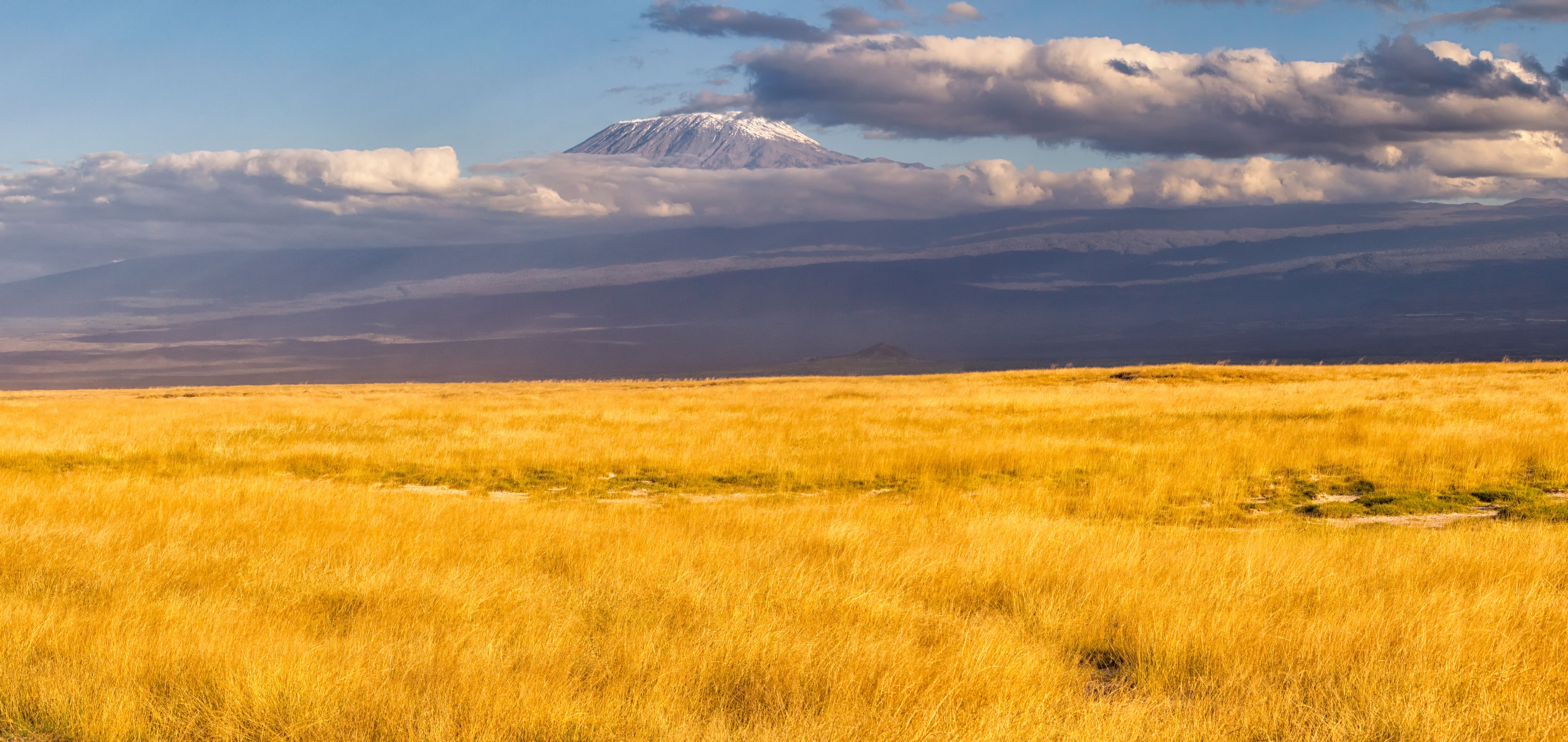 Snow-capped mountain peak rising above golden savanna grasslands under a partly cloudy sky.