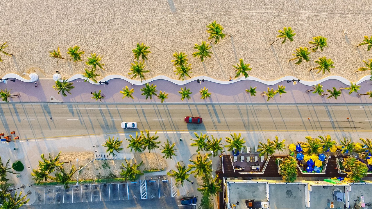 Beach, buildings, cars, palm trees, nature, road, sand, beach side, seaside, street, shadows, top view, aerial view, bir