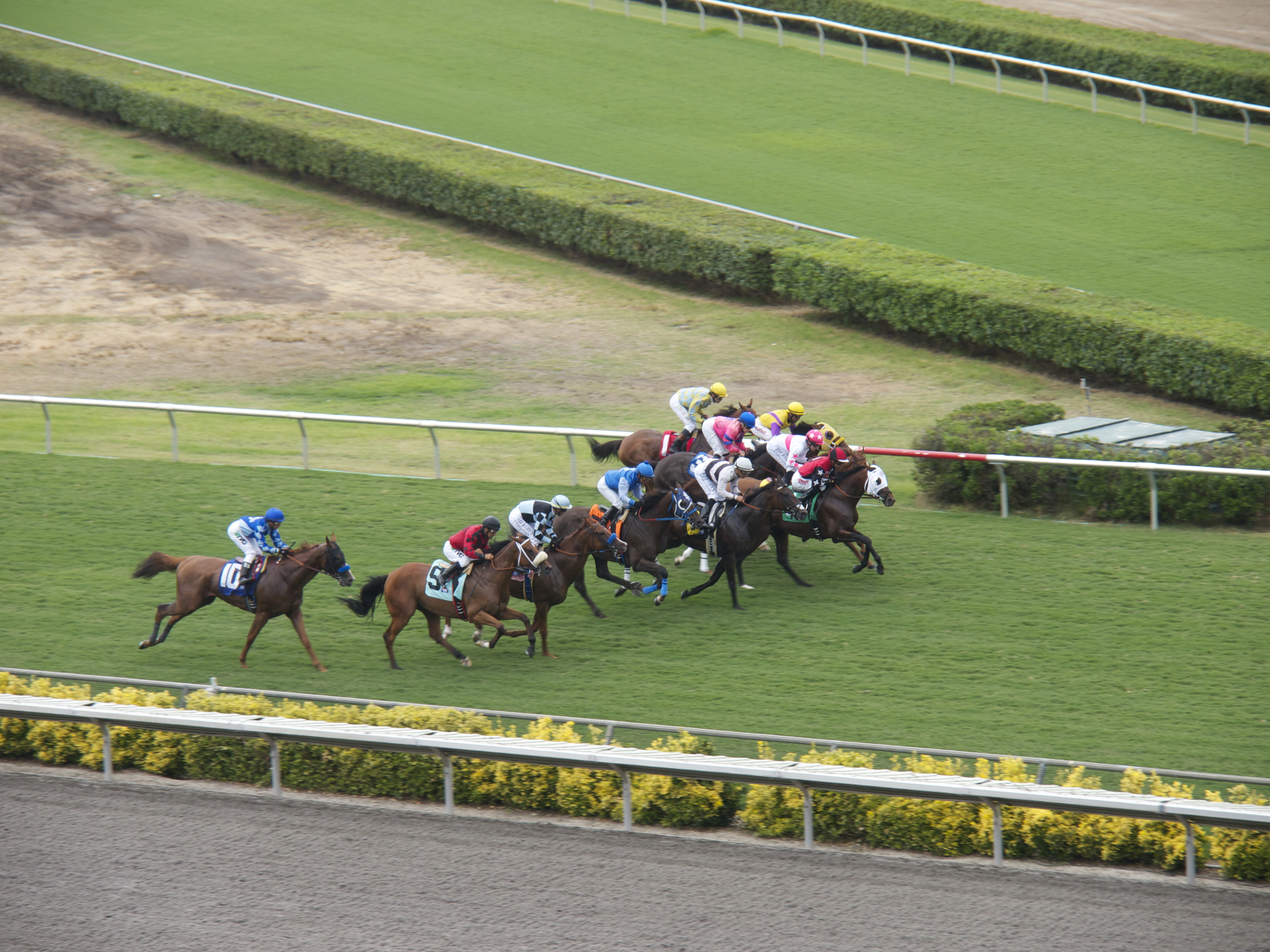 A group of horses and jockeys racing on a grass turf course at a racetrack, viewed from above.