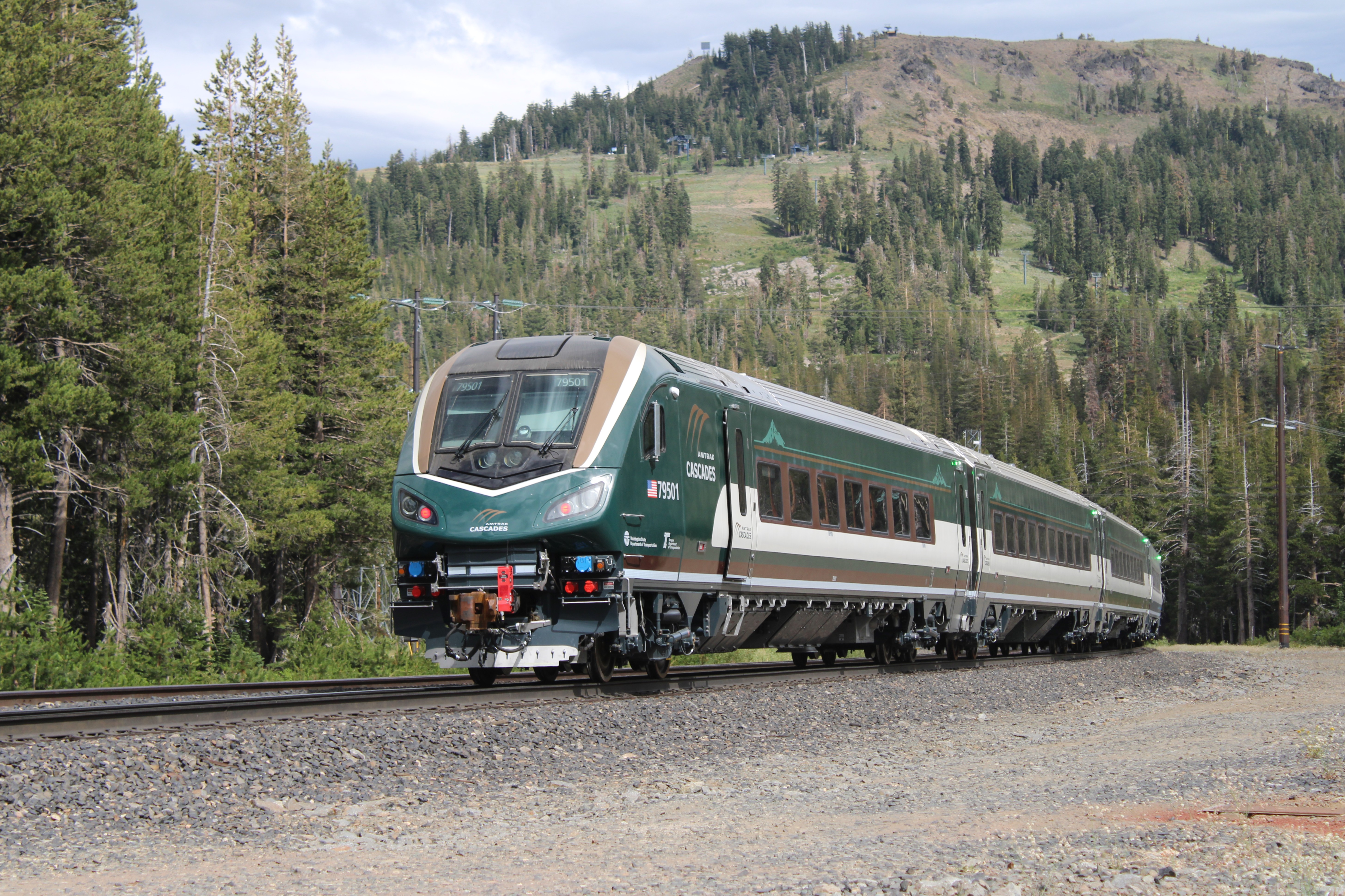 Green-and-silver passenger trainset traveling through a dense forest on a single track.