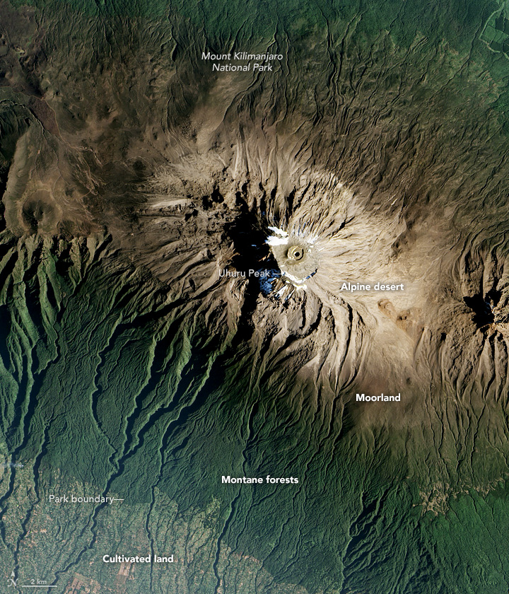 Aerial satellite view of Mount Kilimanjaro with snow-capped summit and surrounding forests.