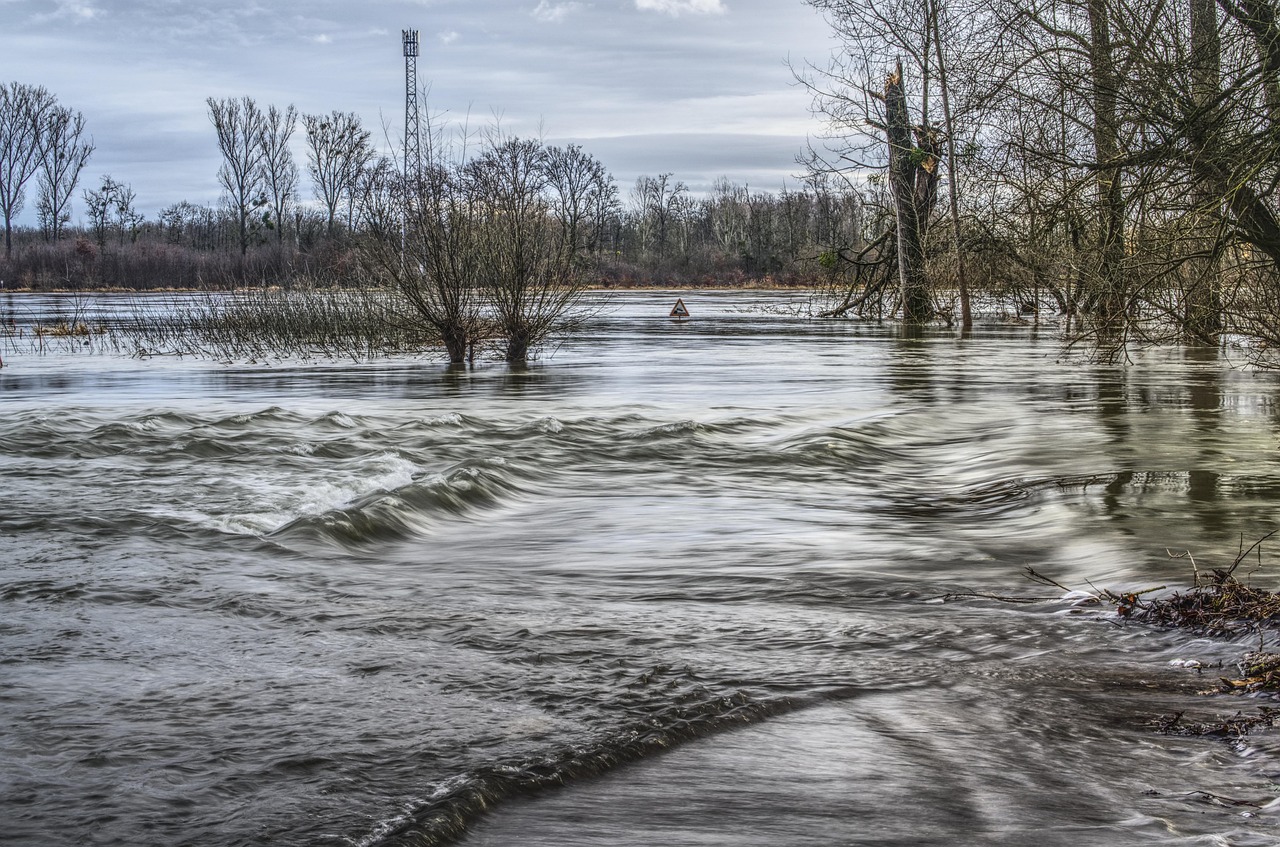 Flood, flow, flooding, flooded, danger, attention, underwater, warning, waters, nature, reflection, water, break, conver