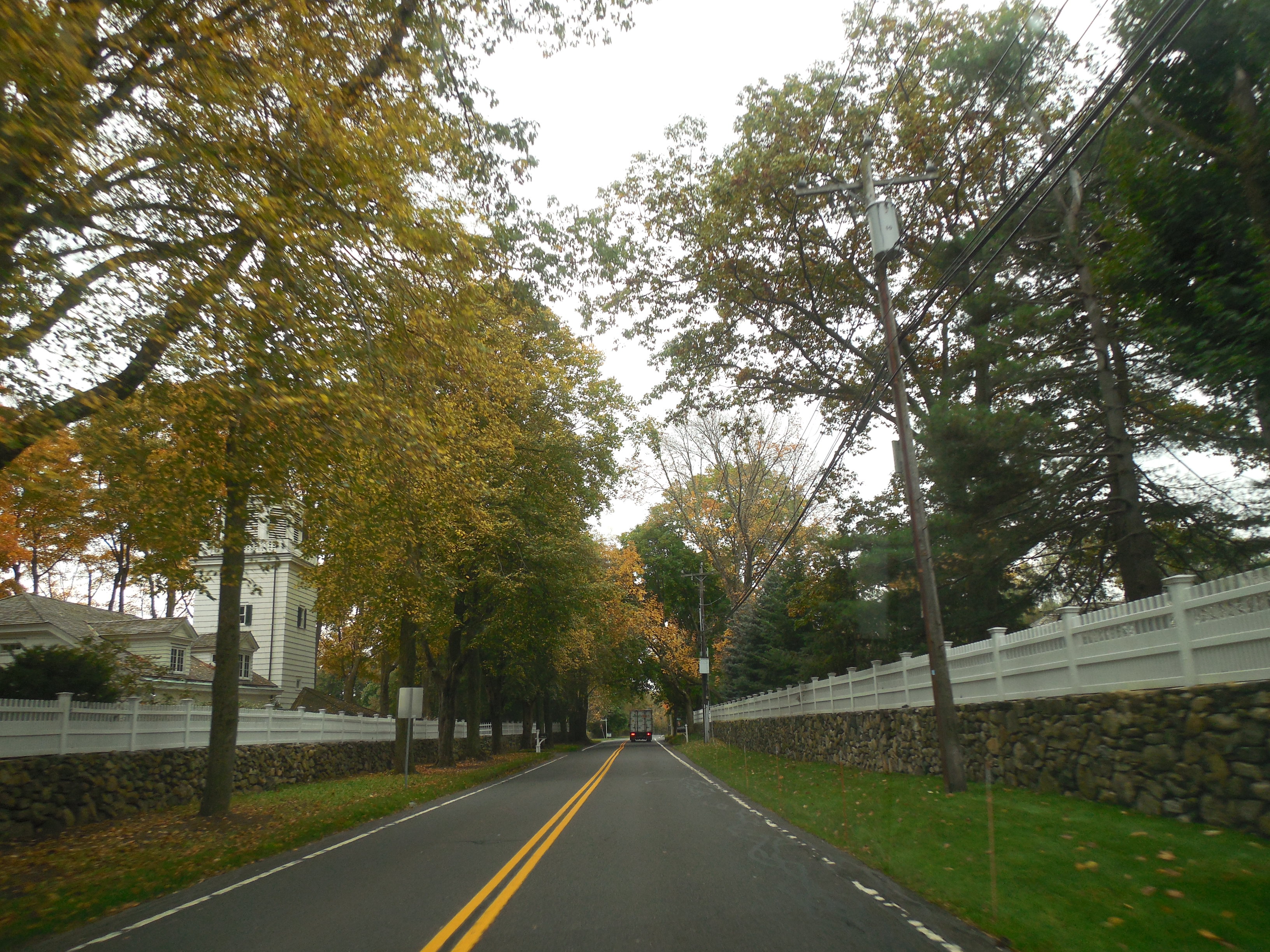 Tree-lined road with white picket fence and stone wall in a residential neighborhood.