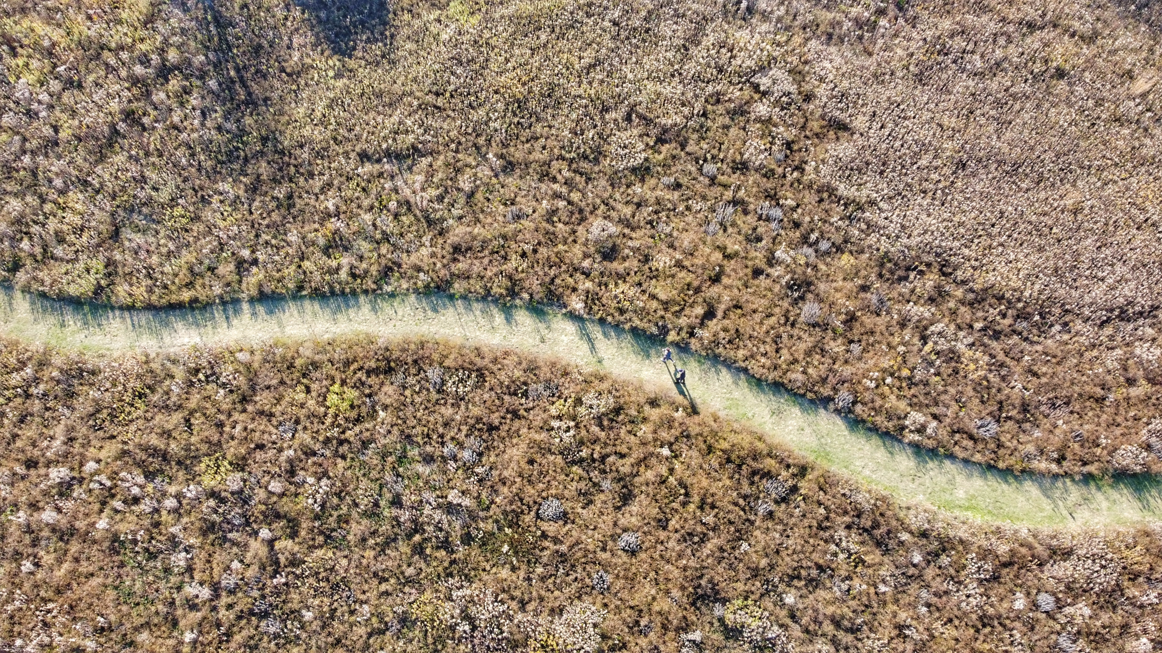 Aerial view of a narrow creek winding through dry scrubland vegetation.