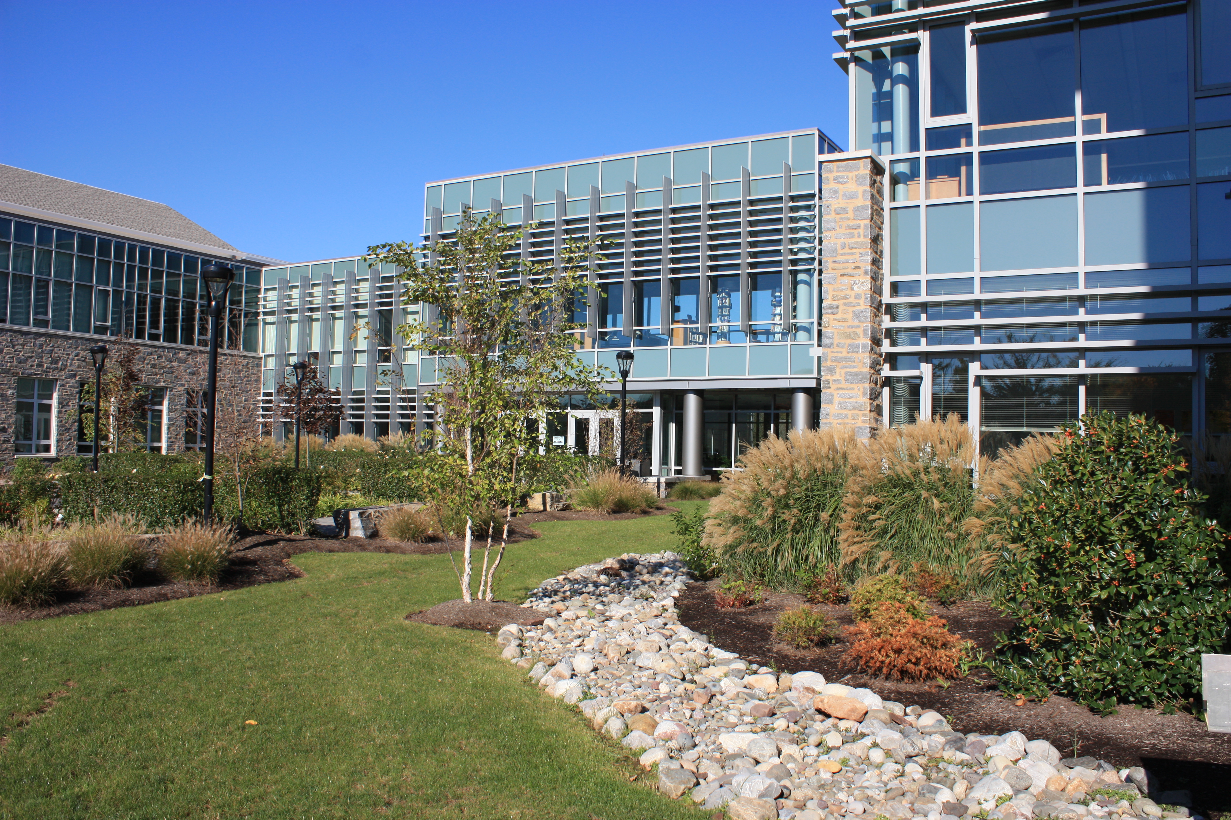 Modern glass and stone school building with a landscaped courtyard under a clear blue sky.