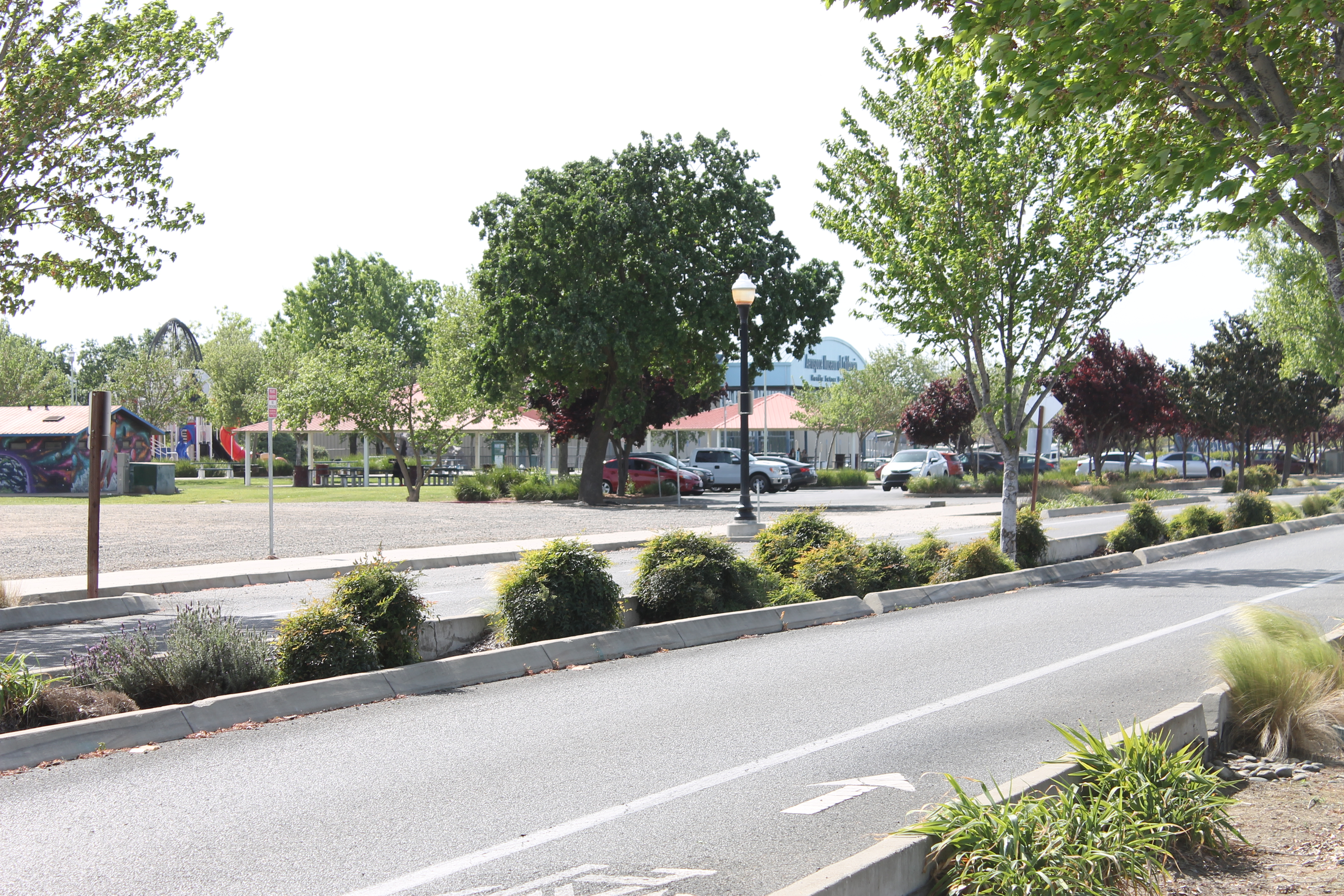 Street-level view of a museum building surrounded by trees and parked cars.