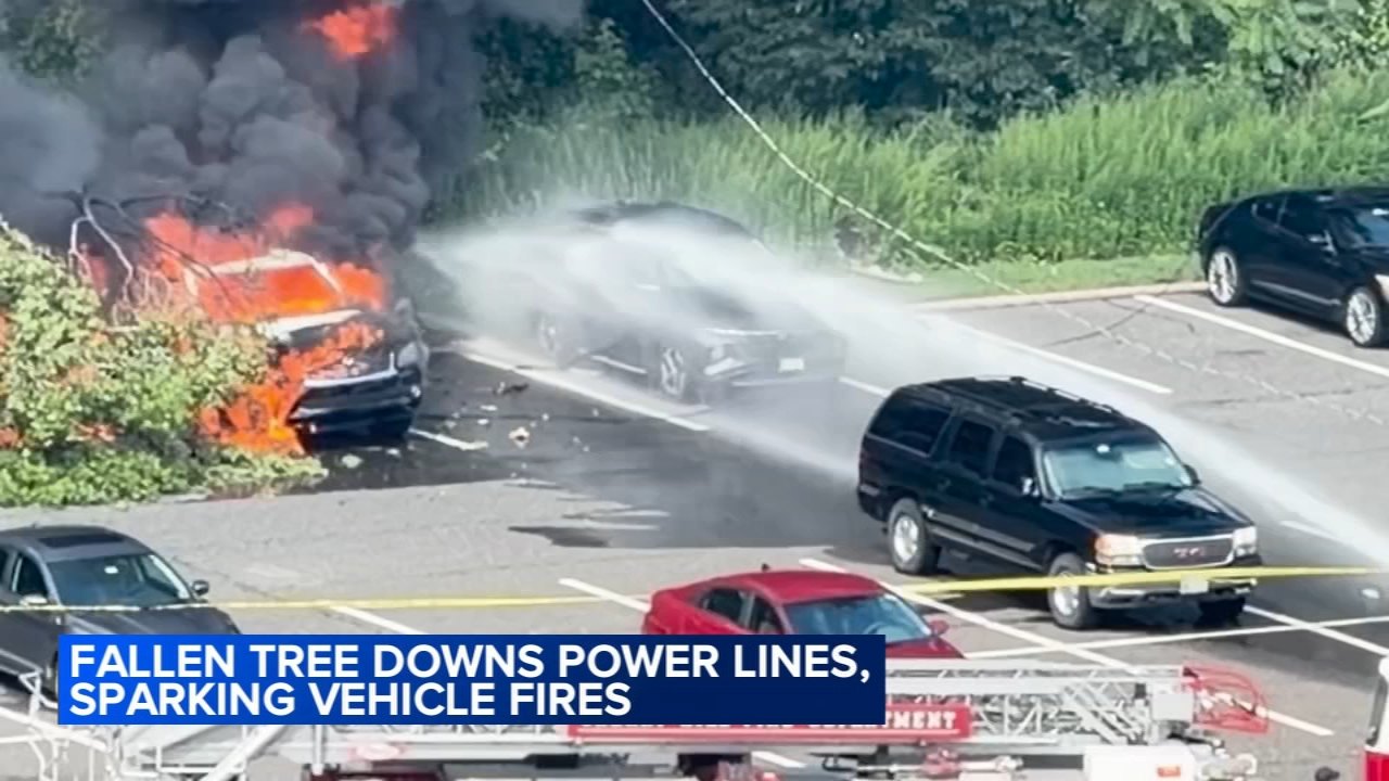 Two cars fully engulfed in flames in a parking lot, with heavy black smoke rising.