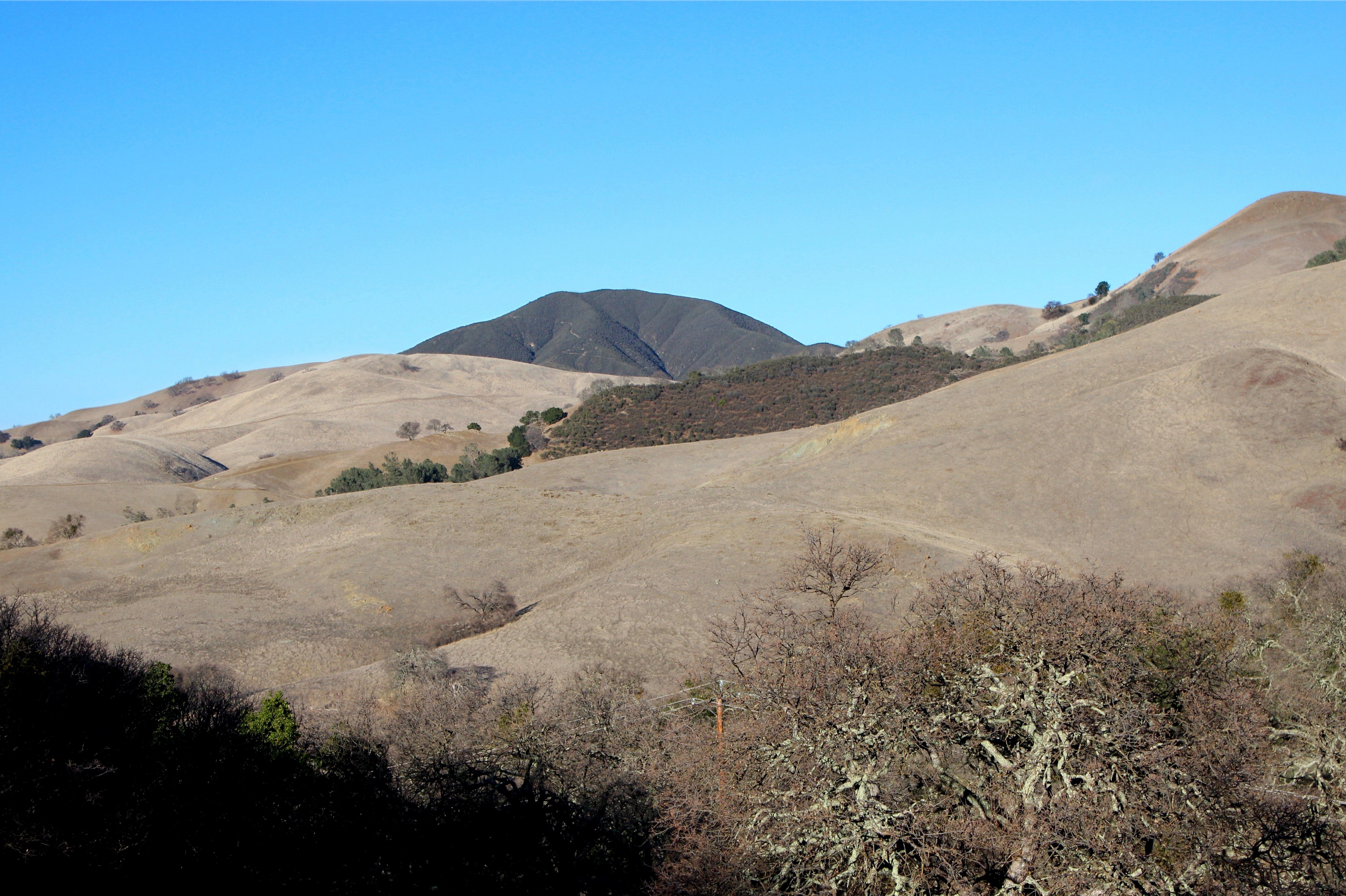 Golden dry hills with scattered oak trees and a dark peak in the background.