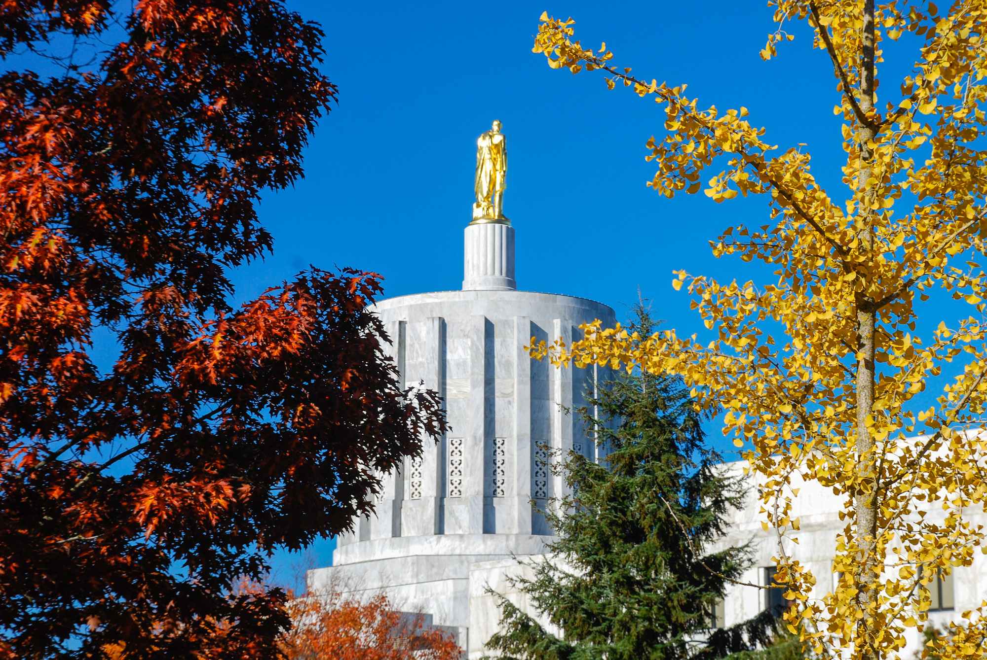 Gold pioneer statue atop a government building dome, framed by autumn foliage against a blue sky.