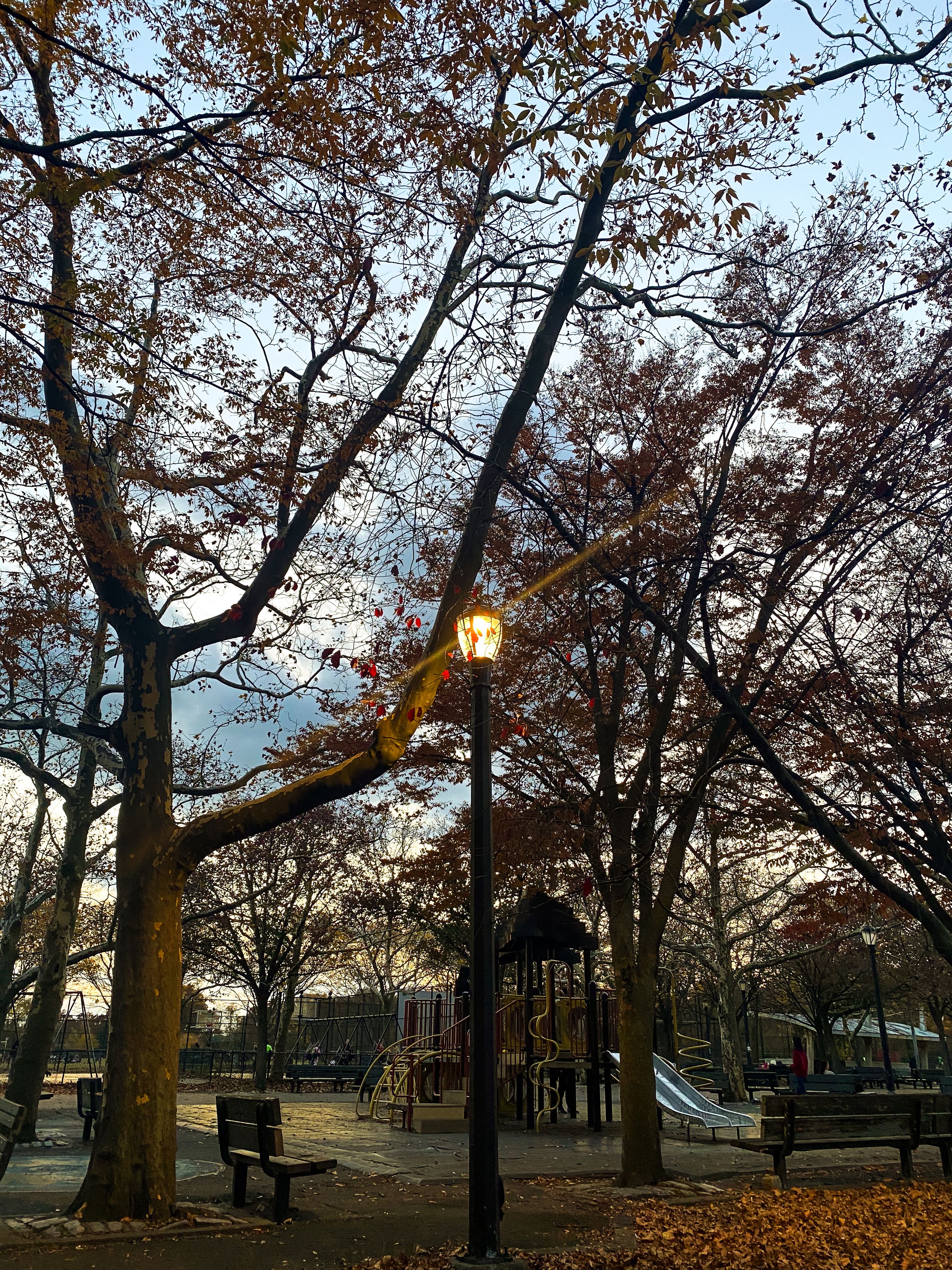 Children's playground with slides and climbing structures surrounded by autumn trees.
