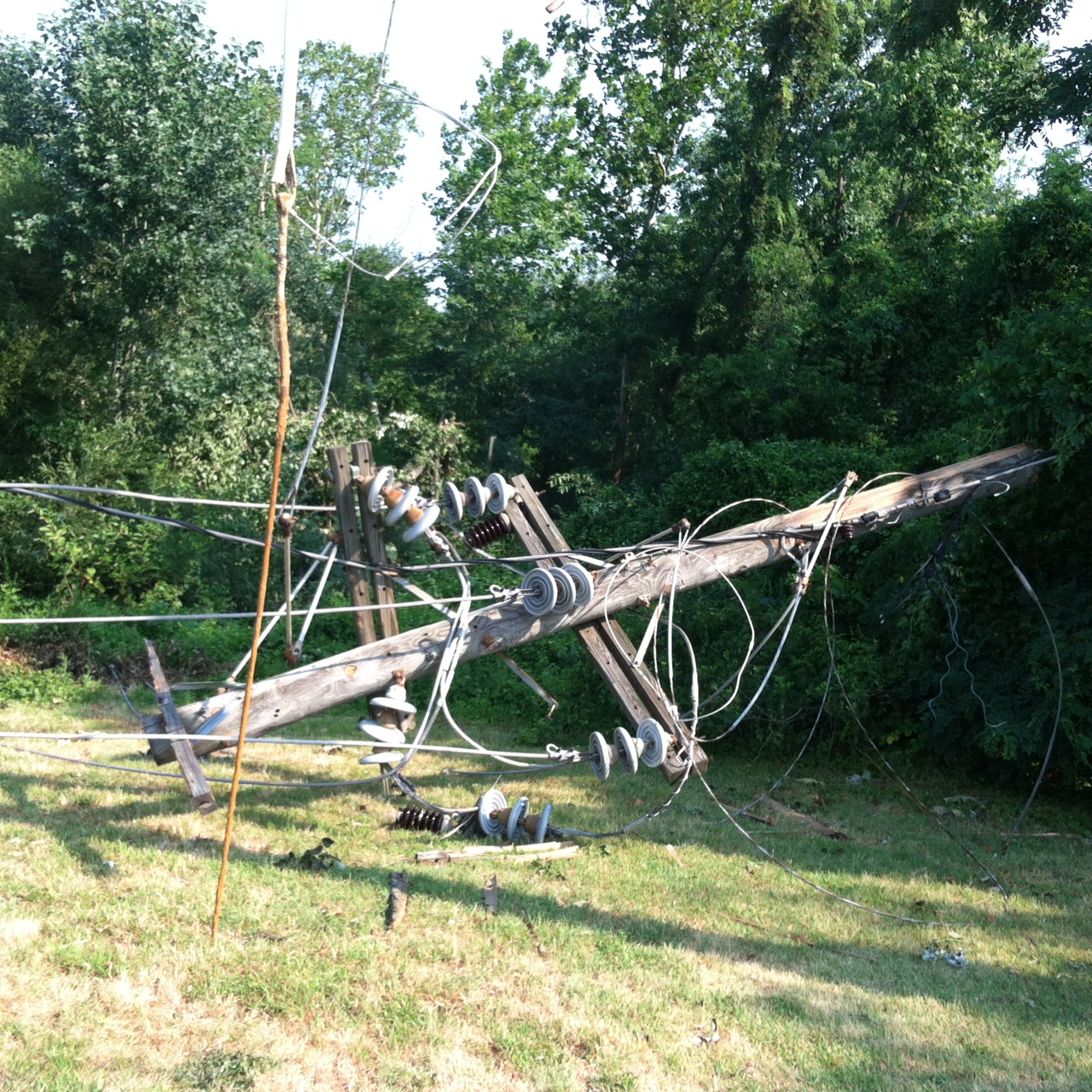 A fallen utility pole with tangled power lines lying on grass.