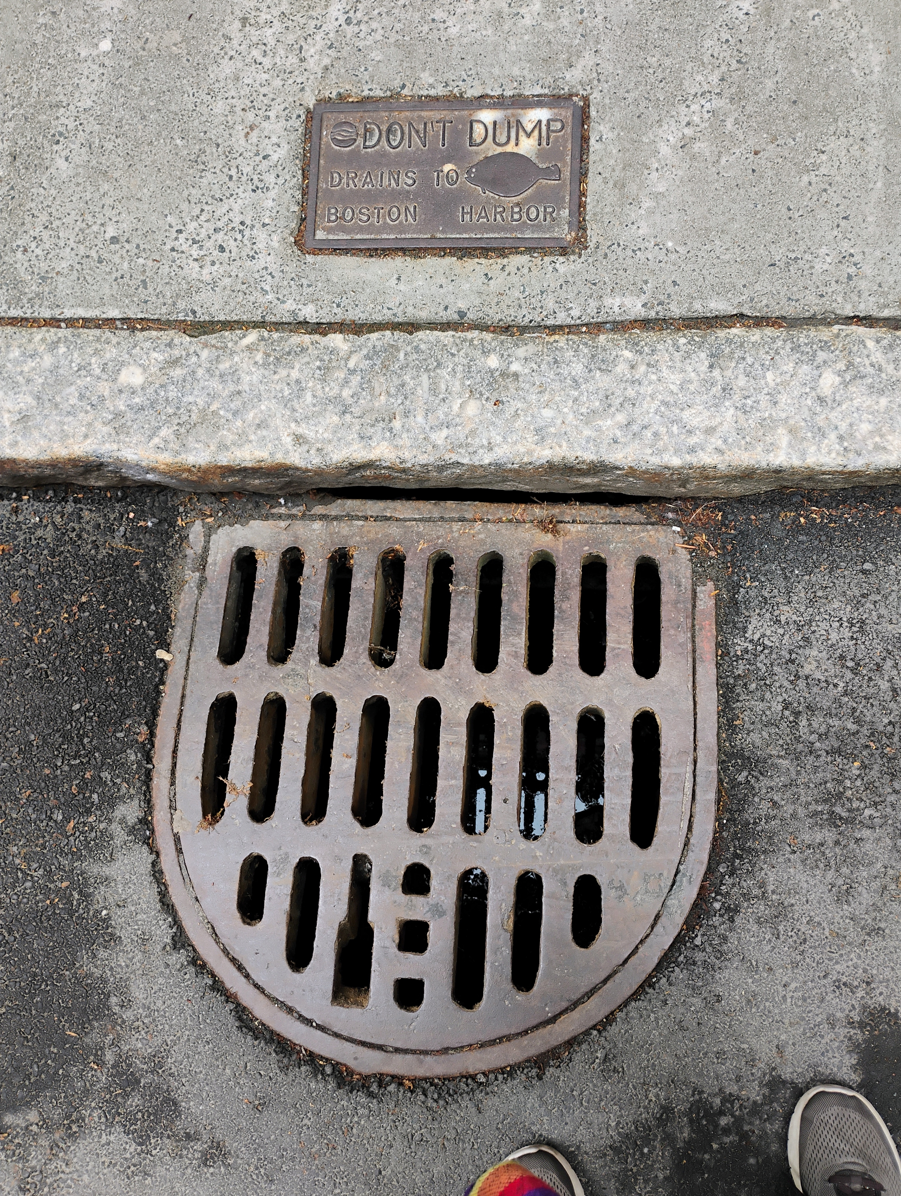 Cast-iron storm sewer grate in a concrete curb with a metal warning plaque above it.