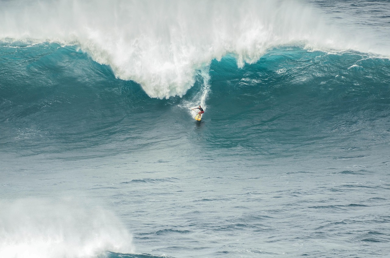 Surfer, sport, waves, nature, water, speed, surfboard, activity, sea, surf, hawaii, outdoors
