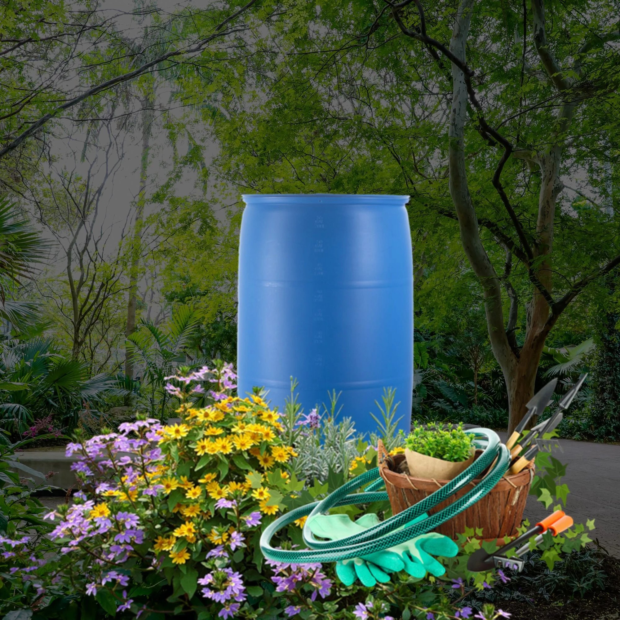 A large blue rain barrel surrounded by flowering plants, a garden hose, and hand tools.
