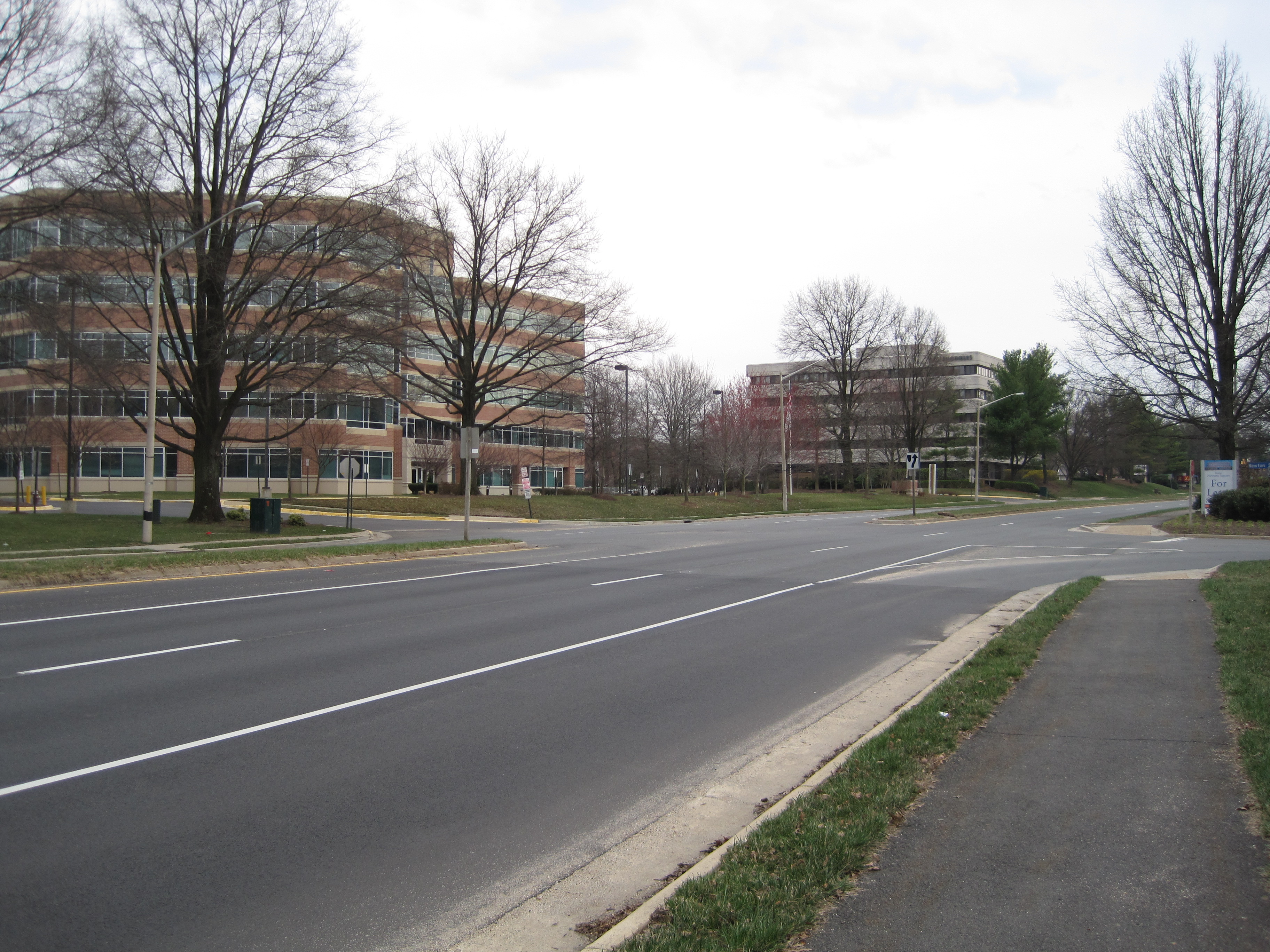 Multi-lane road with office buildings and bare trees at a suburban office park entrance.