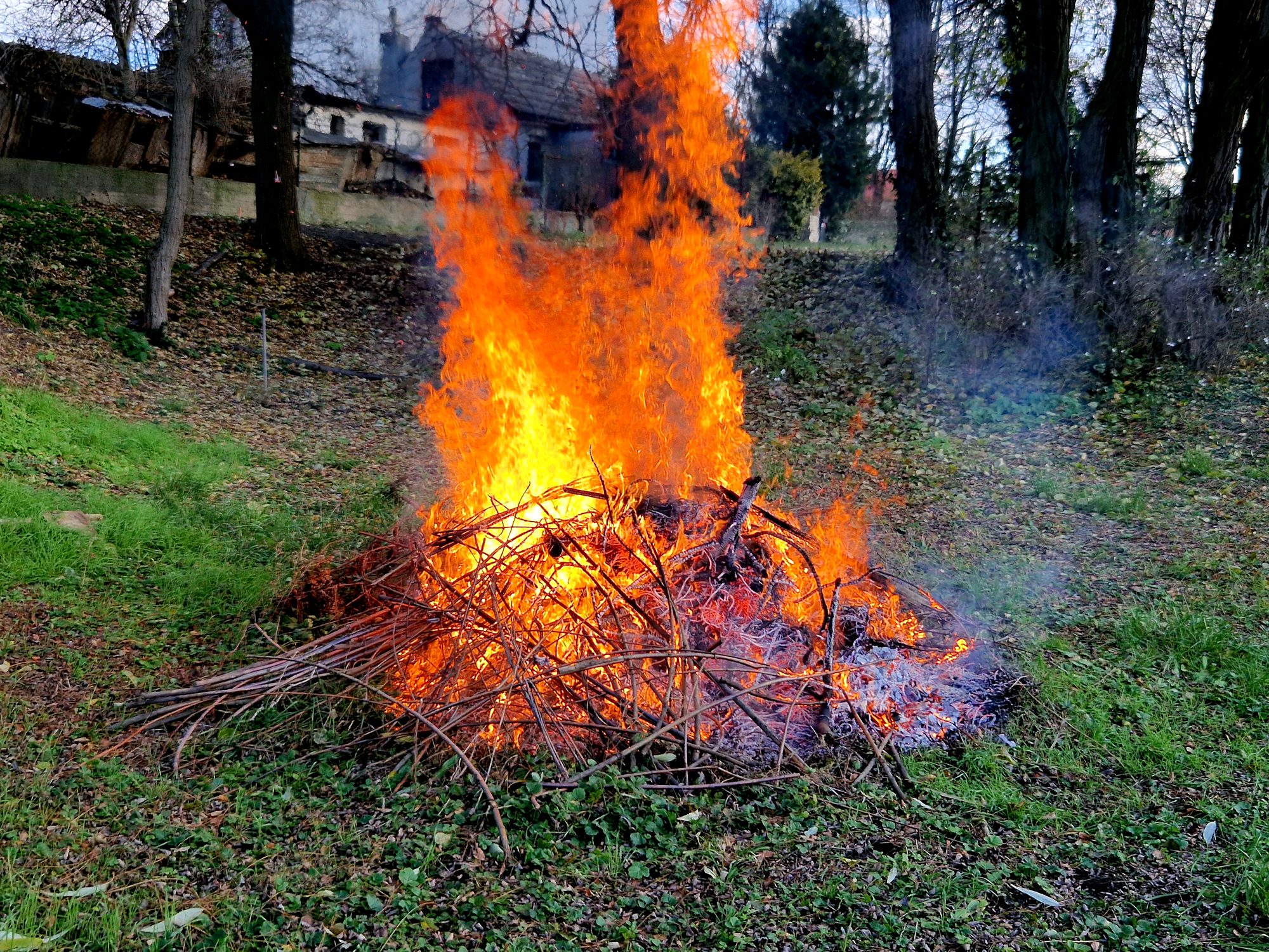 burning branches in a pile is a quick and effective way to clean up the garden. however, it is necessary to comply with fire regulations and to negotiate with tolerant neighbors