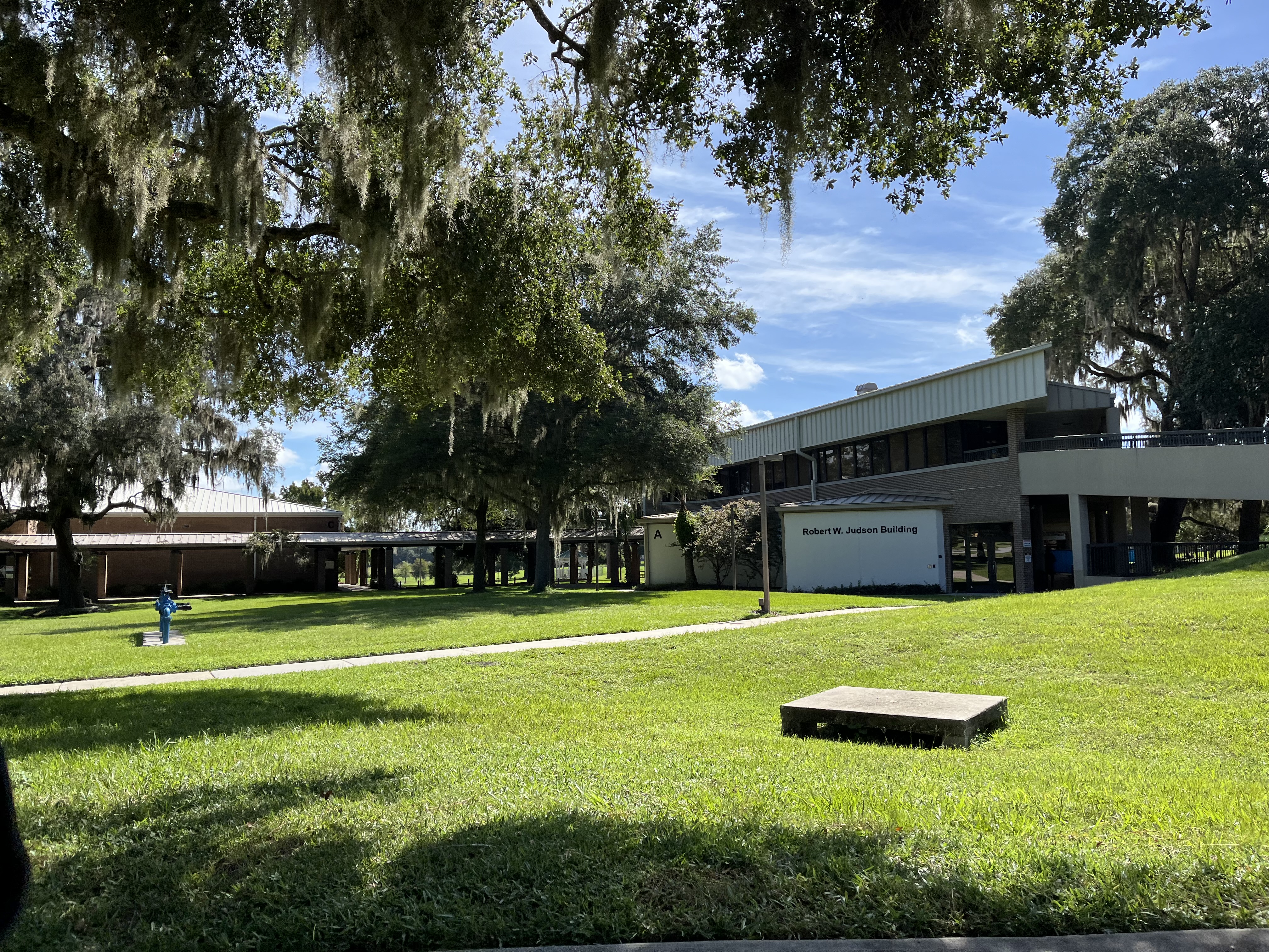Multi-story college building surrounded by live oak trees draped with Spanish moss.