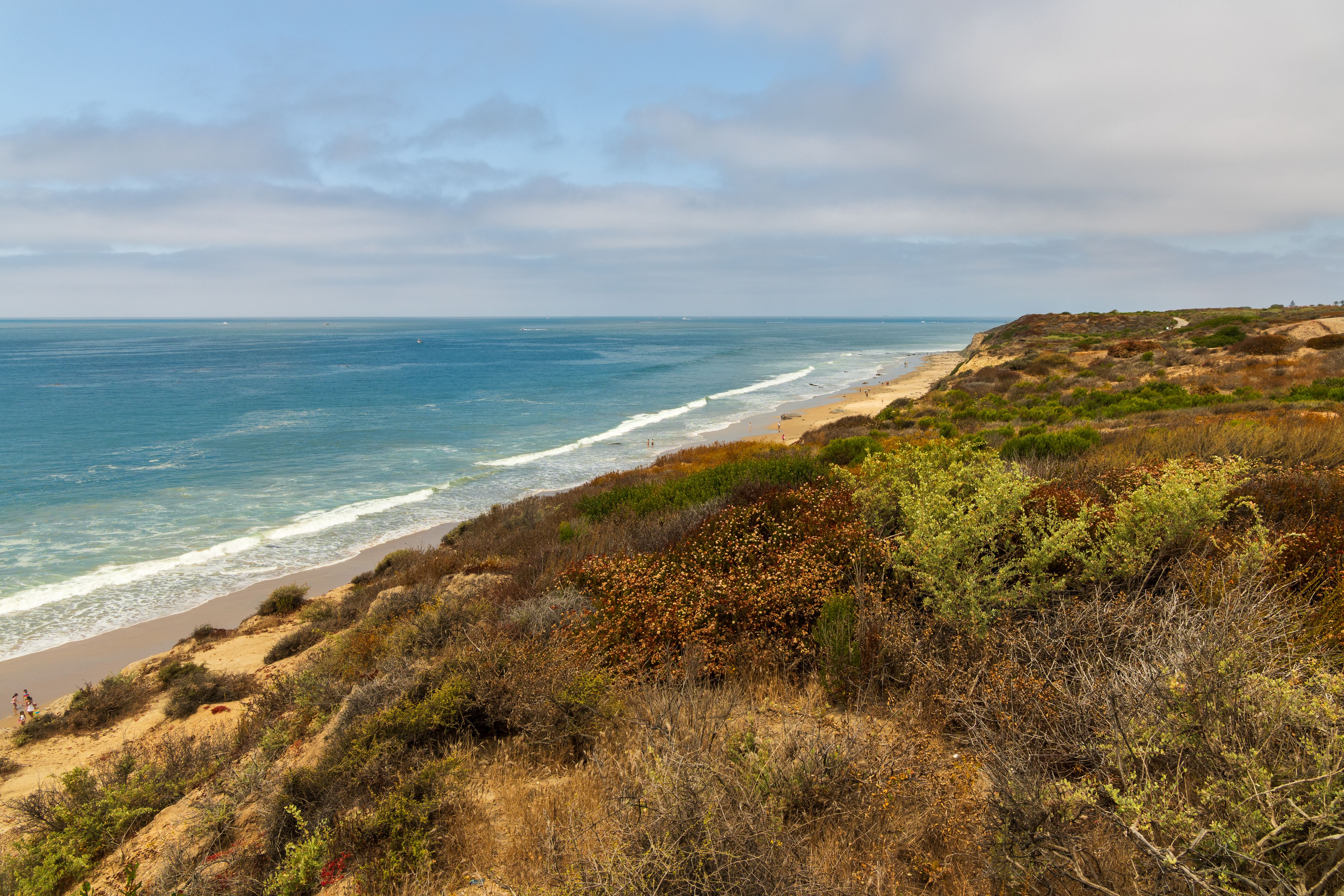 Coastal bluff with native scrub vegetation overlooking a sandy beach and breaking ocean waves.