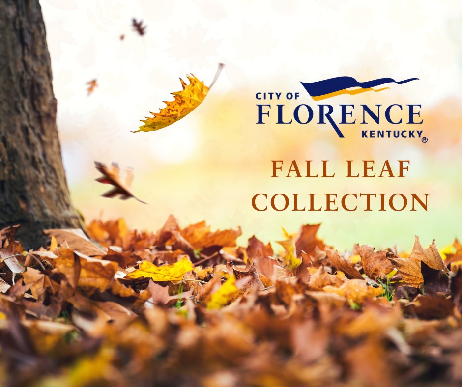 Promotional graphic showing autumn leaves on the ground with text reading Fall Leaf Collection.