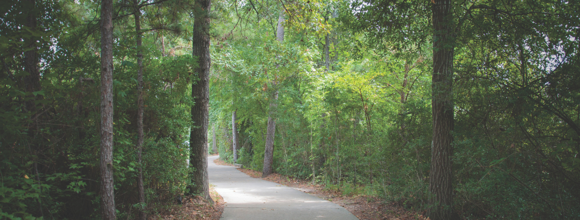 Paved pathway flanked by tall trees with a dense green canopy overhead.