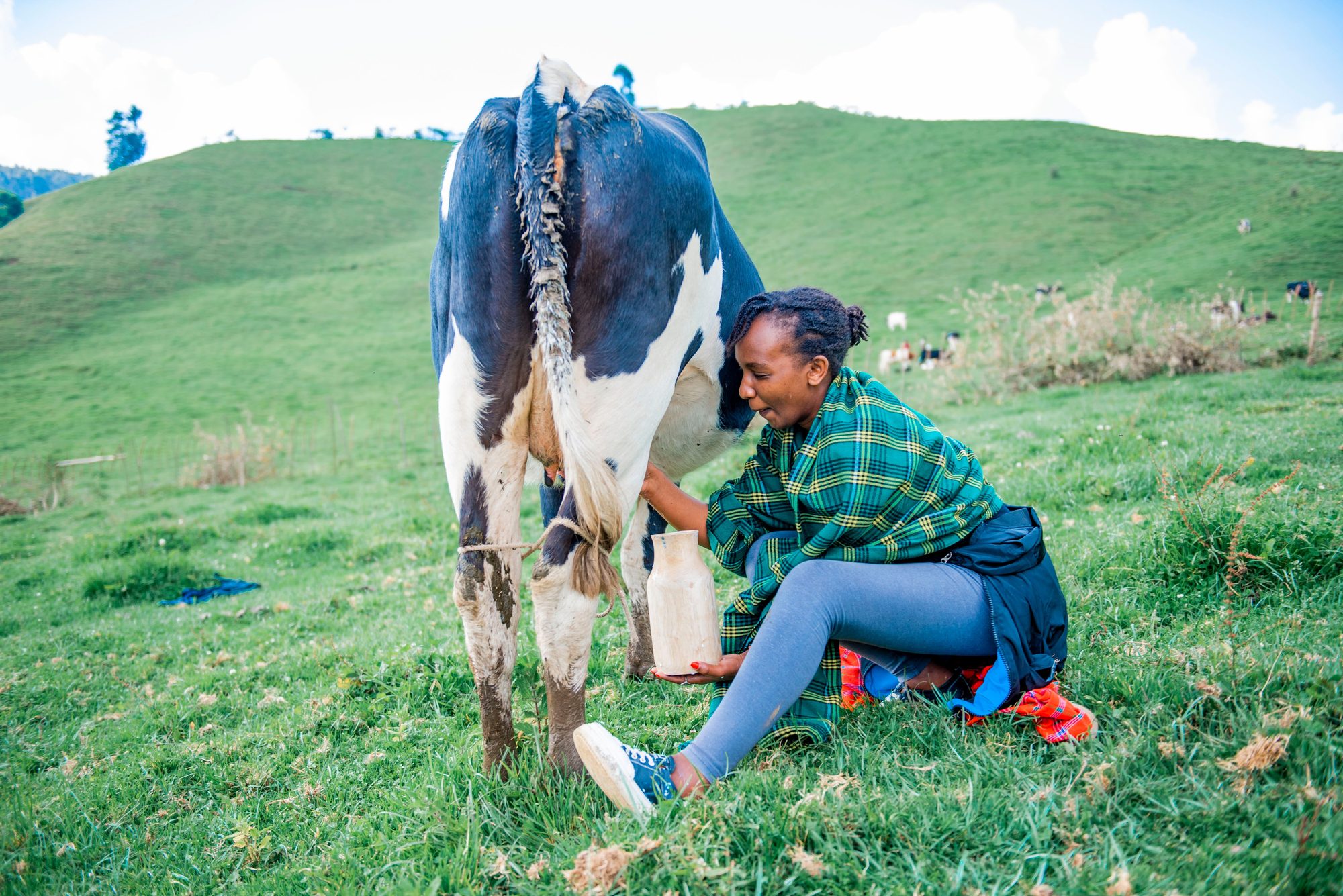 A woman happily milking a cow in a vibrant green pasture, showcasing traditional farming.