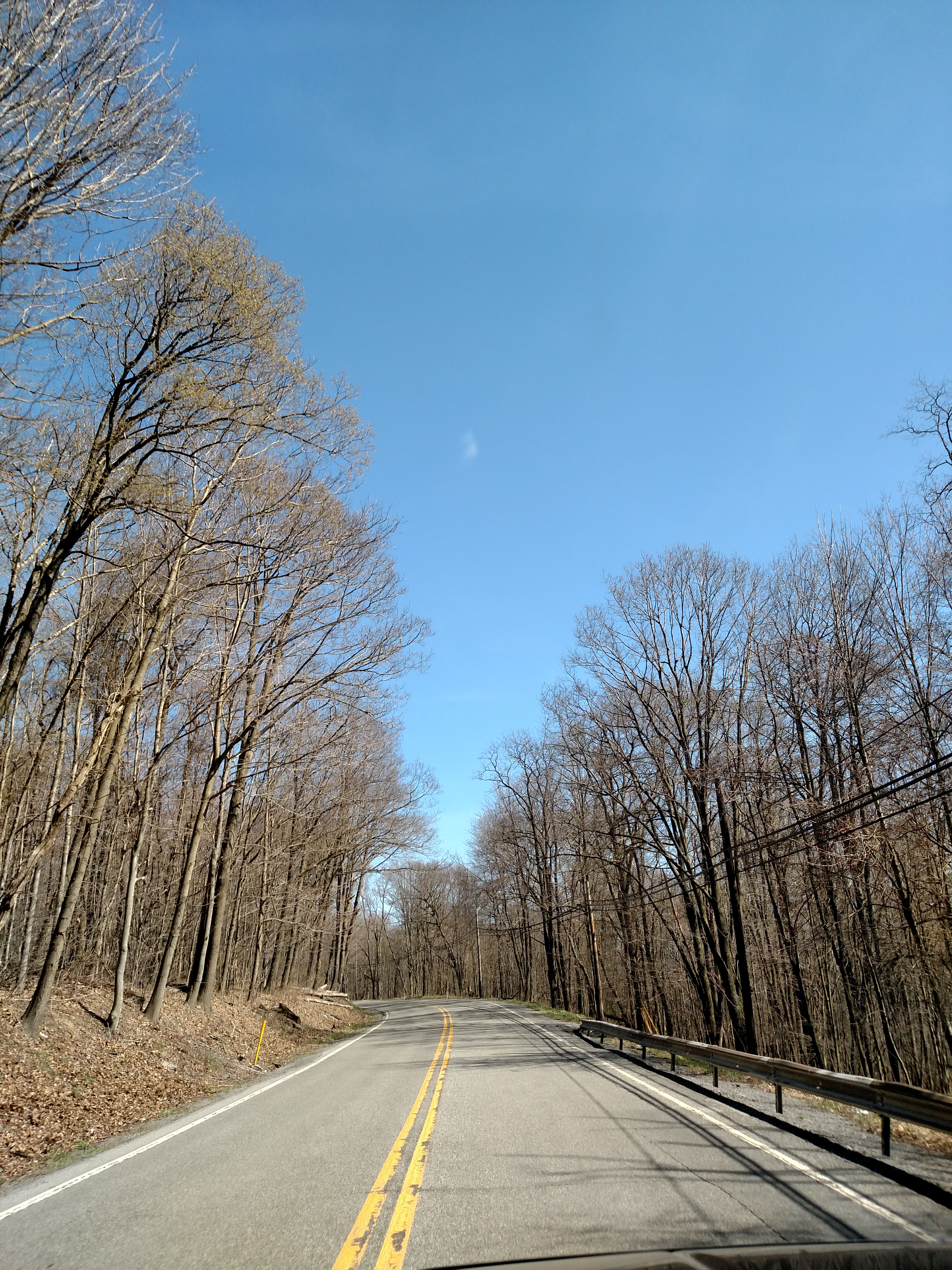 Two-lane road curving through bare deciduous trees with a metal guardrail.