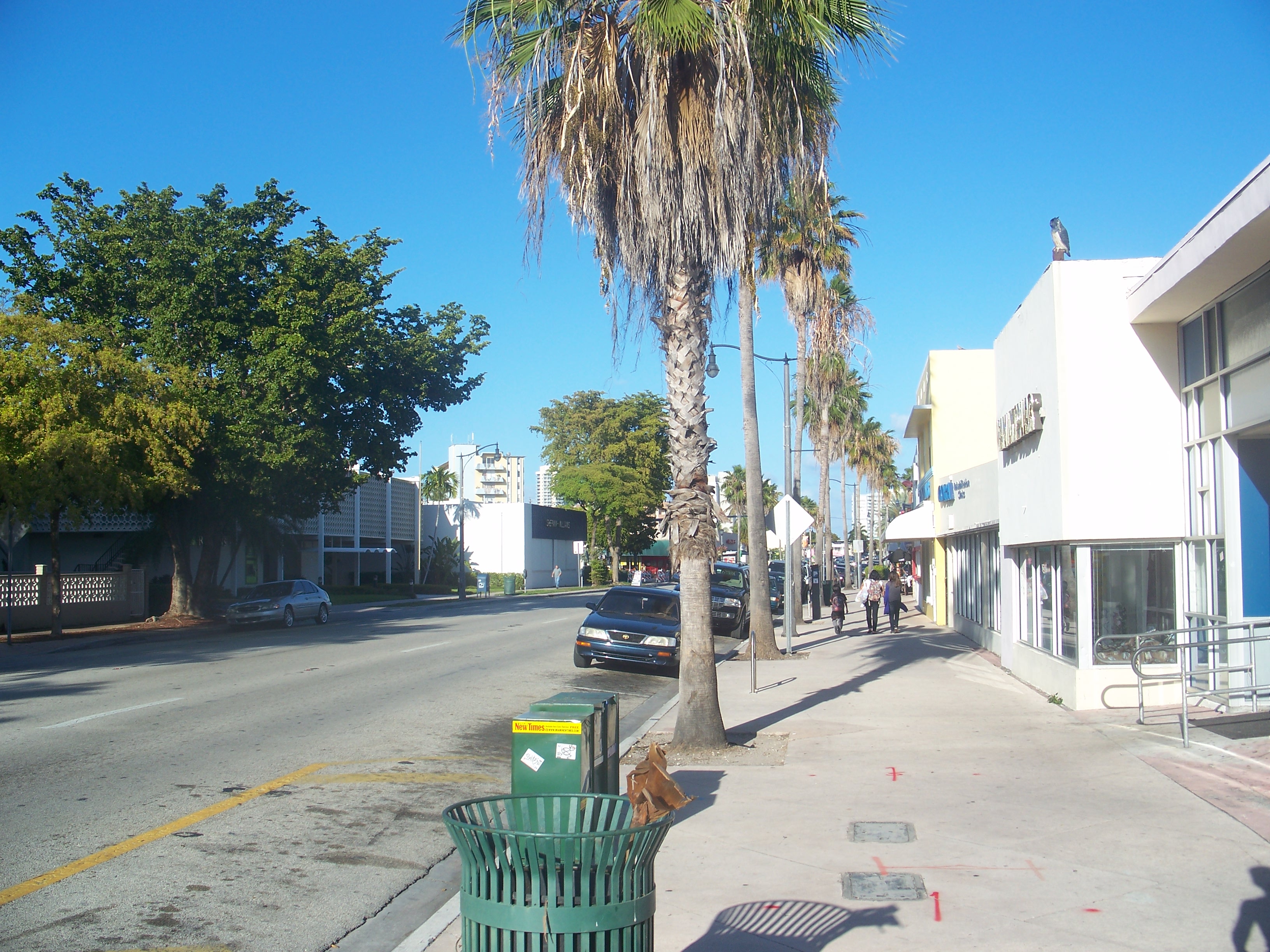 Tree-lined residential street in the Normandy Isles neighborhood of Miami Beach.