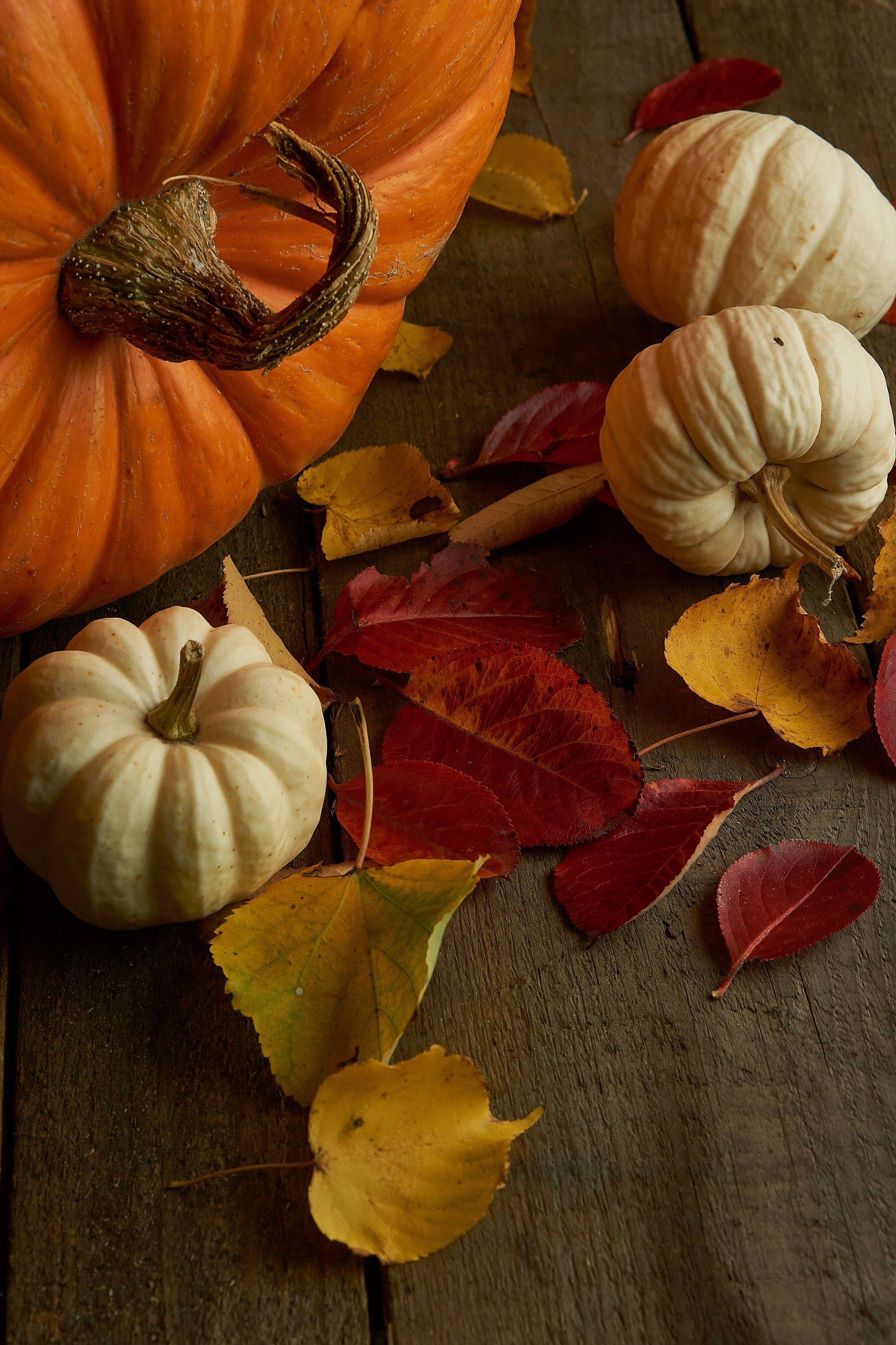 A warm autumn scene with pumpkins and colorful leaves on a wooden surface.