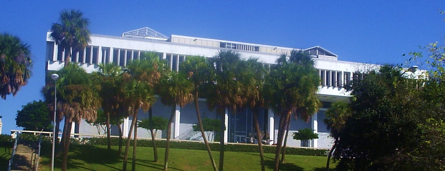 White multi-story government building surrounded by tall palm trees under a clear blue sky.