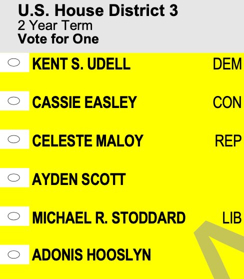 Yellow printed ballot card listing six candidates for U.S. House District 3 with oval selection bubbles.