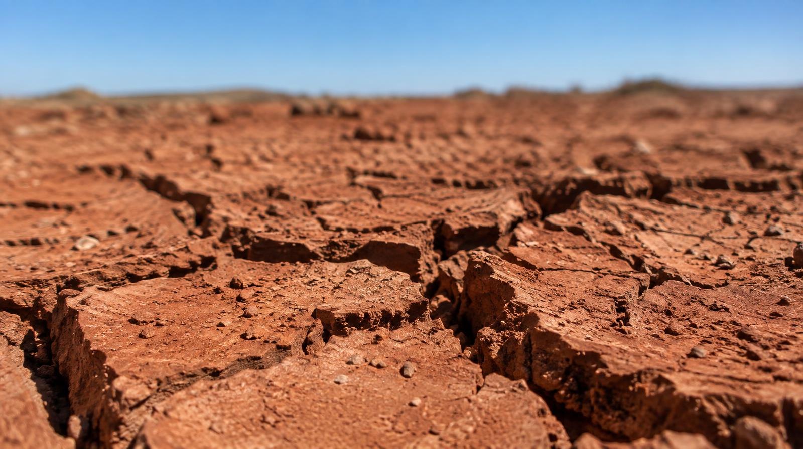 Severely cracked dry red clay soil with deep fissures under a hot sky.