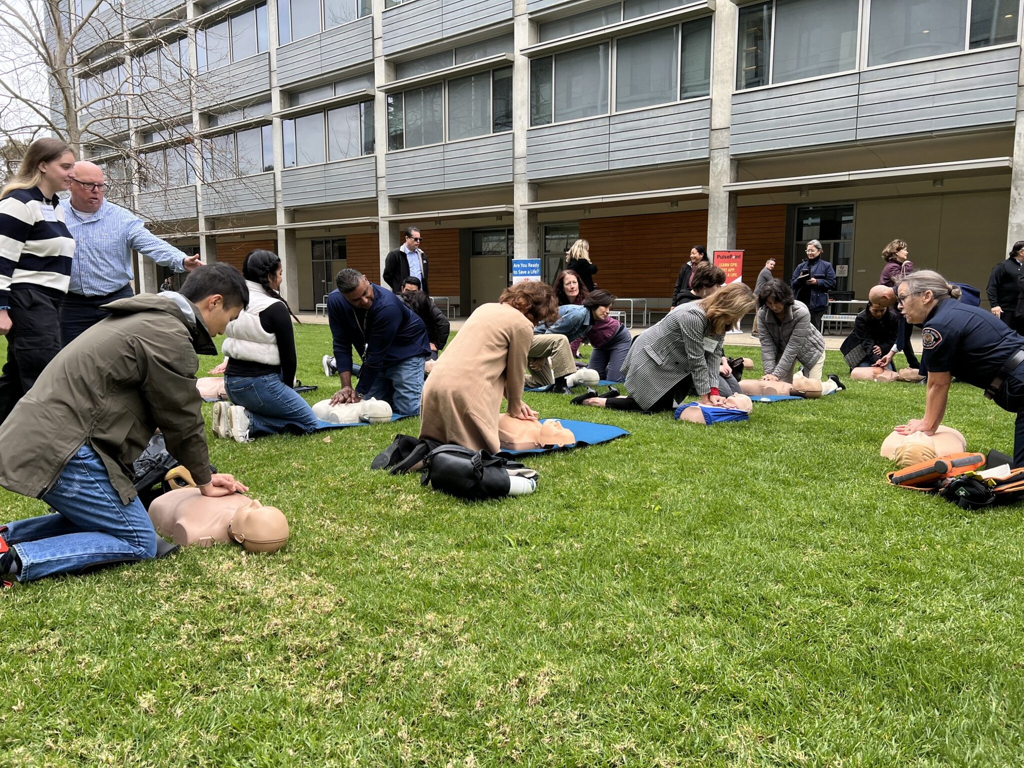 Group of people kneeling on a lawn performing chest compressions on CPR training manikins.