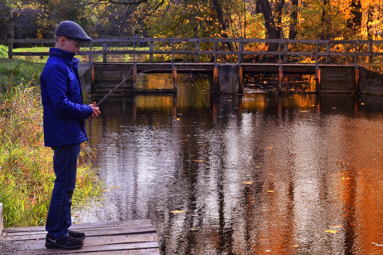Boy, fishing, autumn, pond, outdoors, childhood, son, fish, kid, pole, fall, nature, brown fish, brown fishing