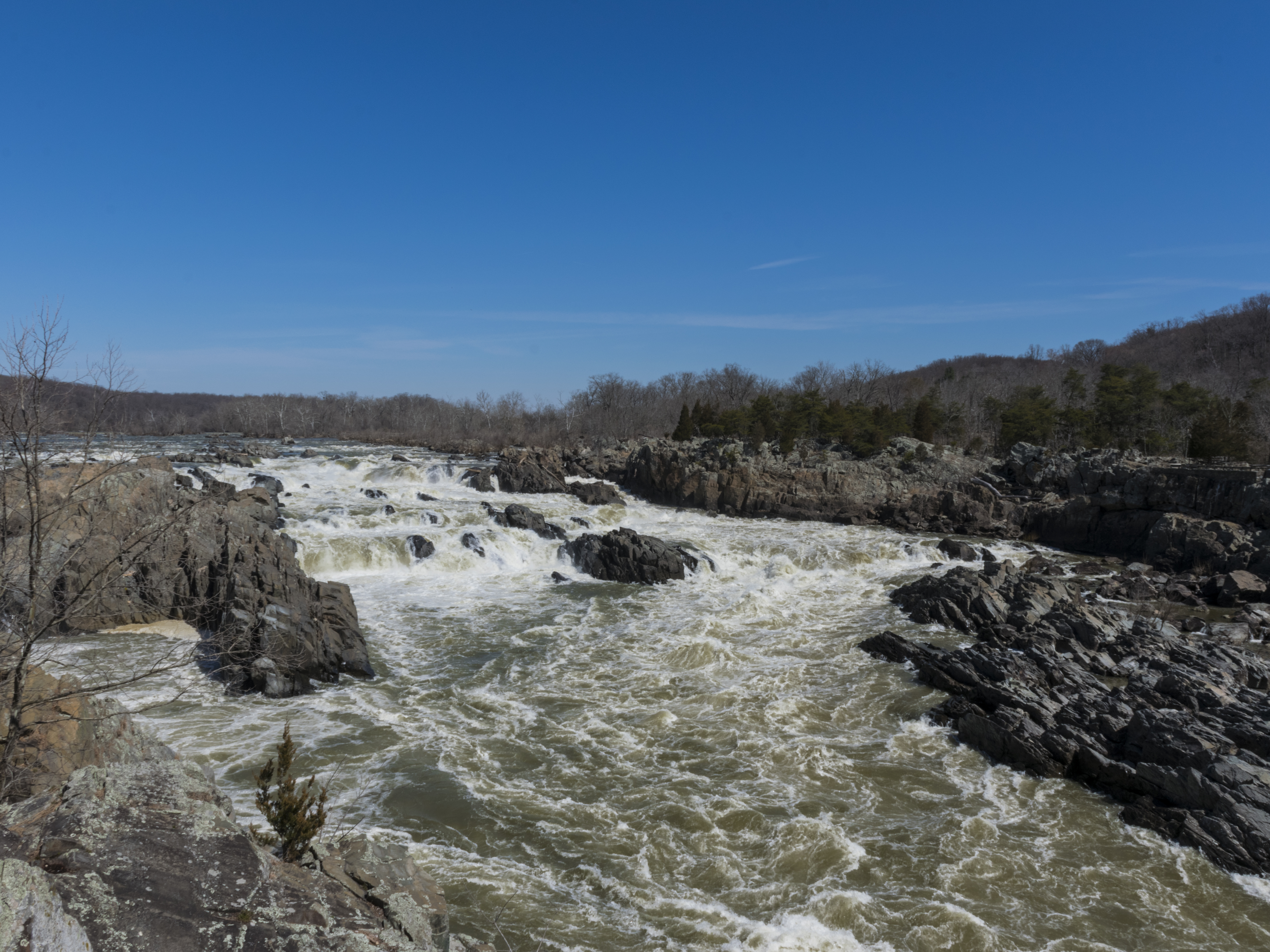 Whitewater rapids rushing through dark jagged rocks at Great Falls on the Potomac River under a clear blue sky.