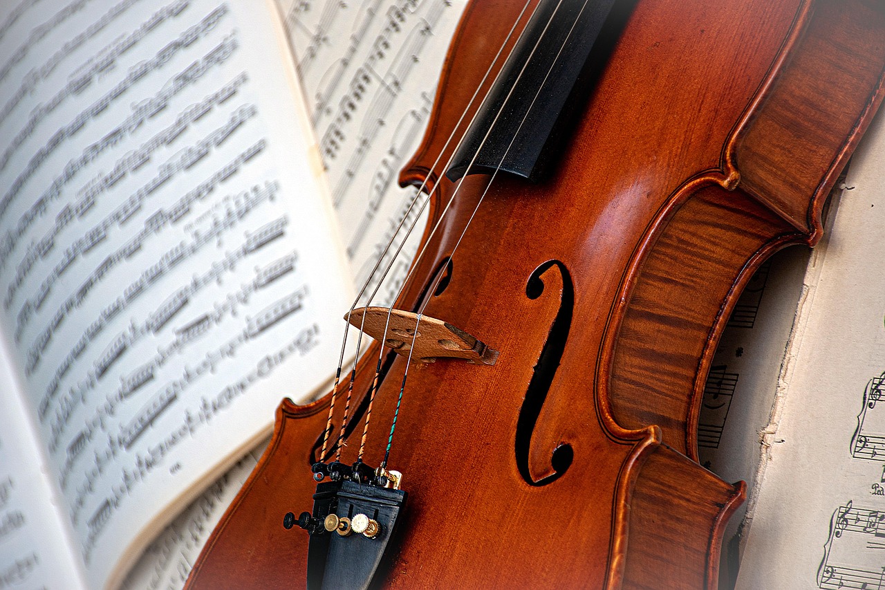 Violin, orchestra, music, musical instrument, orchestra instrument, stringed instrument, old violin, power of music, sou