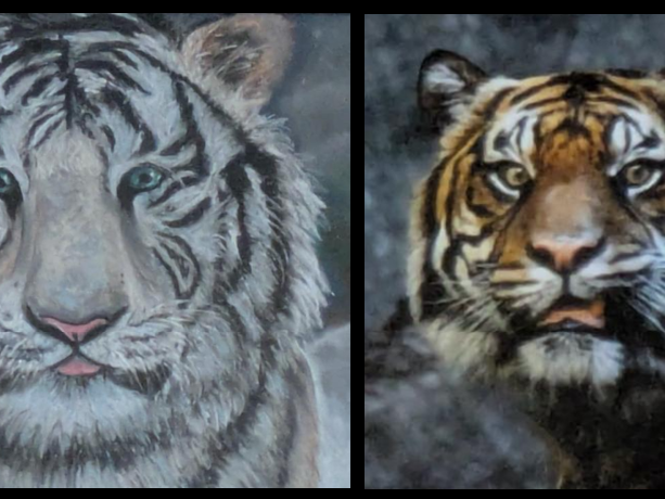 Two tiger face paintings displayed side by side against a dark background.