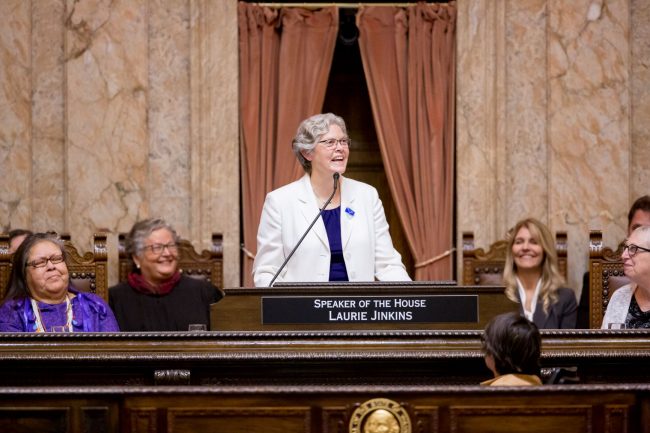 Speaker Jinkins at rostrum